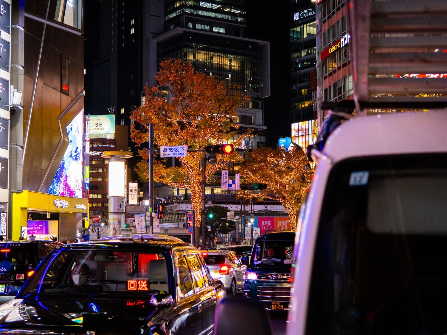 Nighttime cityscape with illuminated buildings and autumn trees in an urban setting.