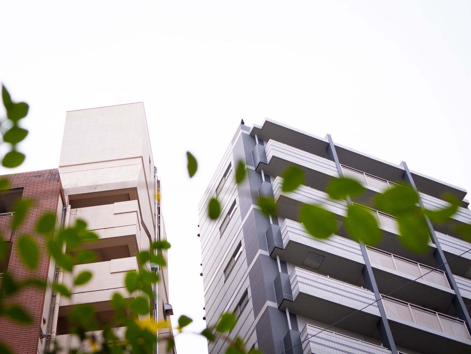 Low angle view of a modern apartment building facade with green foliage in the foreground.