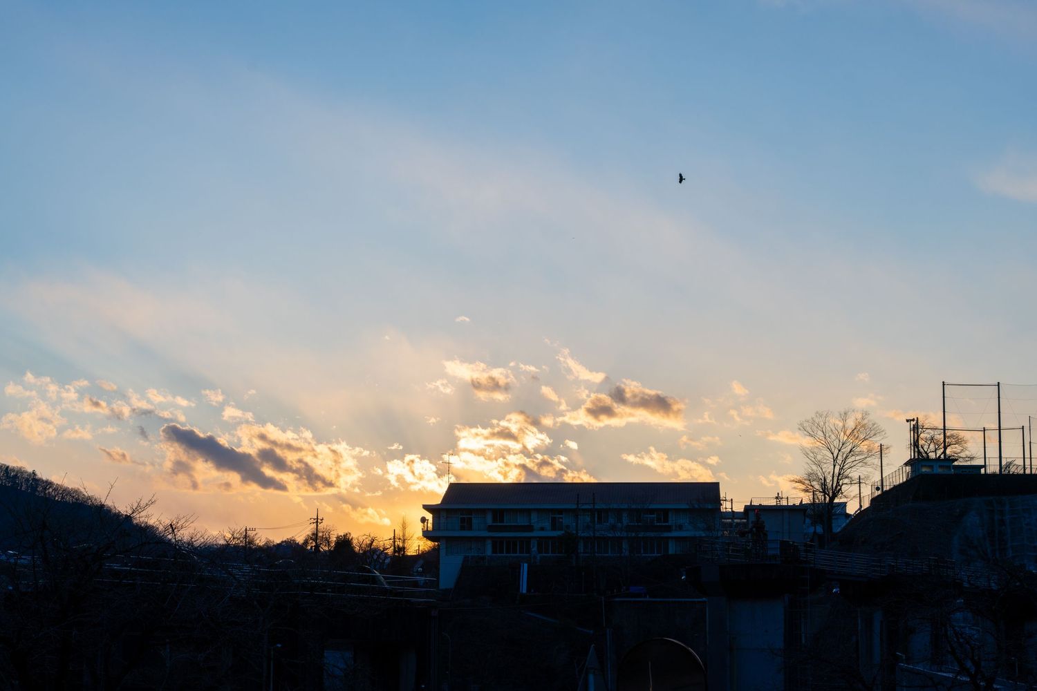 A series of sunset sky photos showing vibrant orange and blue clouds with silhouetted buildings and trees on the horizon.