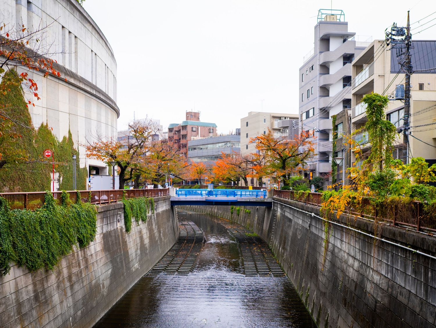 Canal or waterway running through an urban area with autumn trees and buildings along both sides.