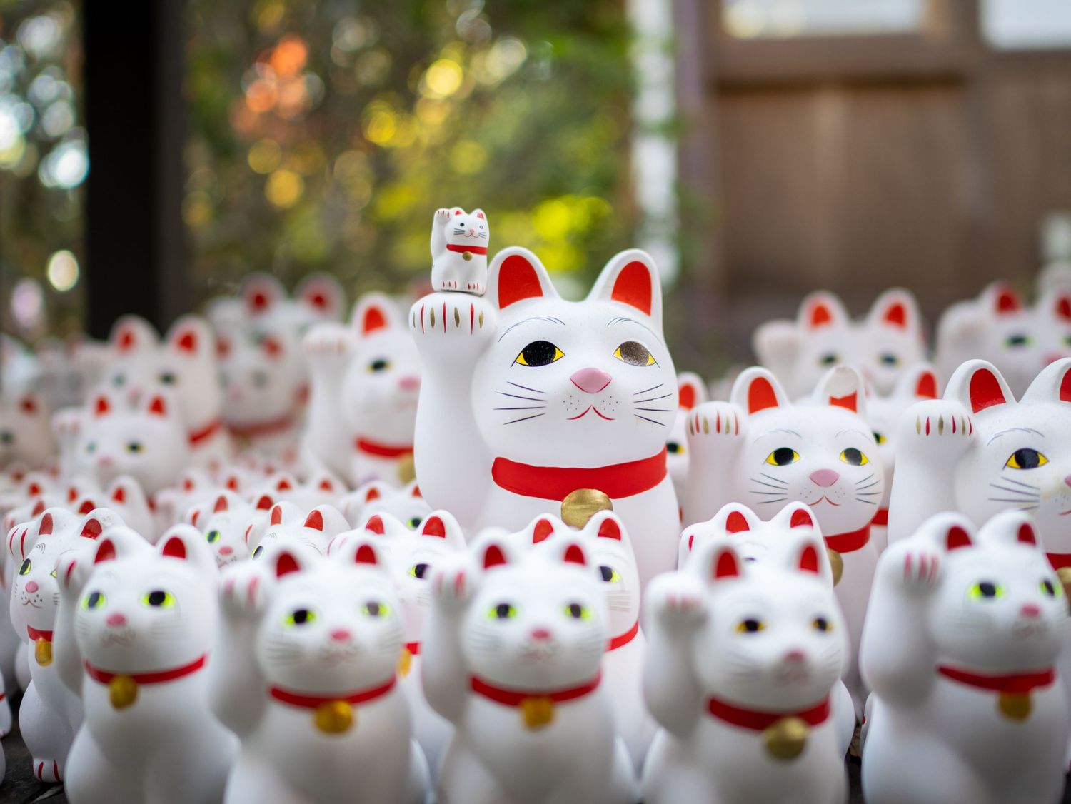 Collection of white Maneki-neko lucky cat statues lined up in rows.