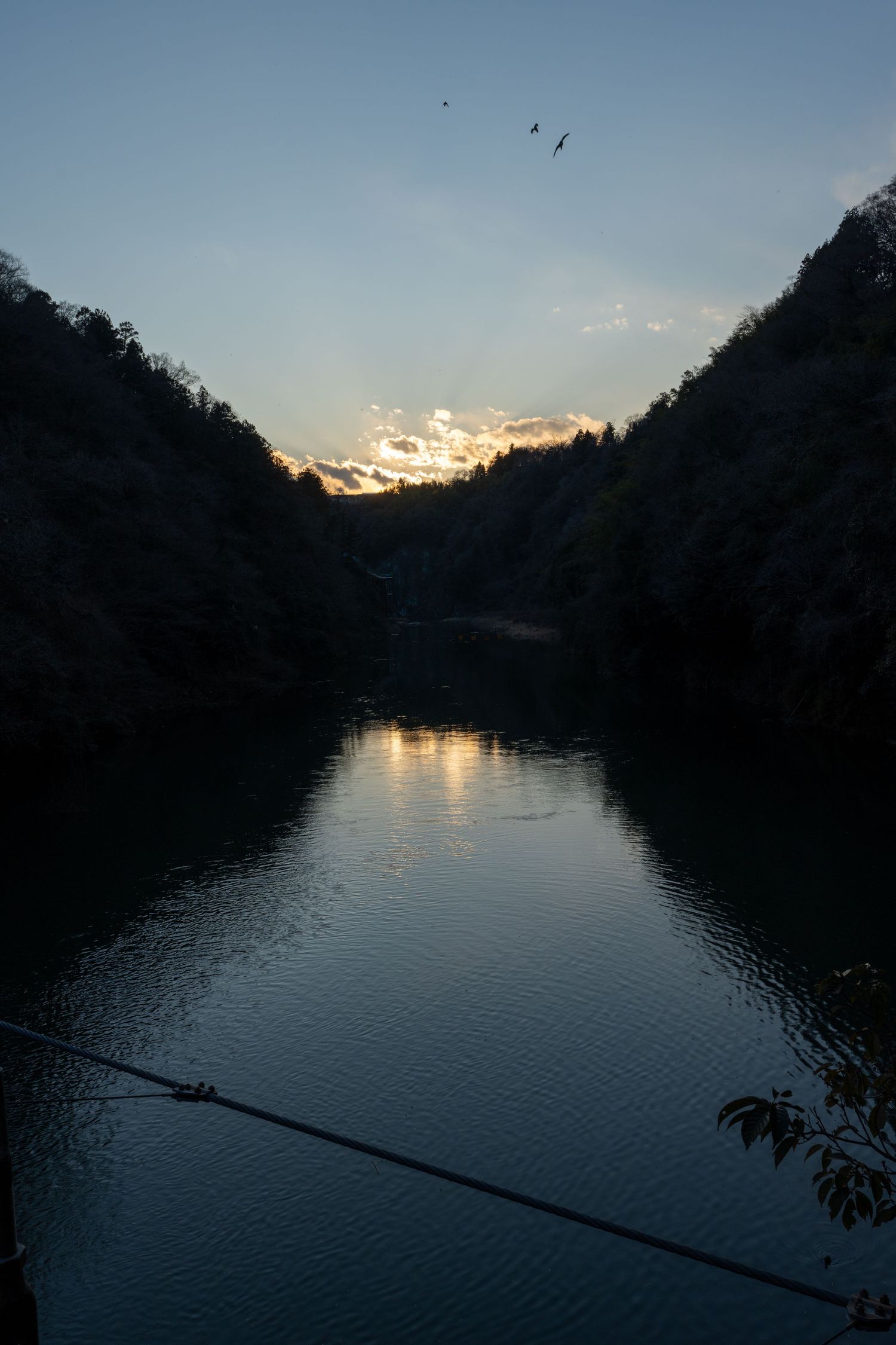 Serene sunset view over a calm lake with silhouetted trees and reflective waters creating a peaceful twilight scene.