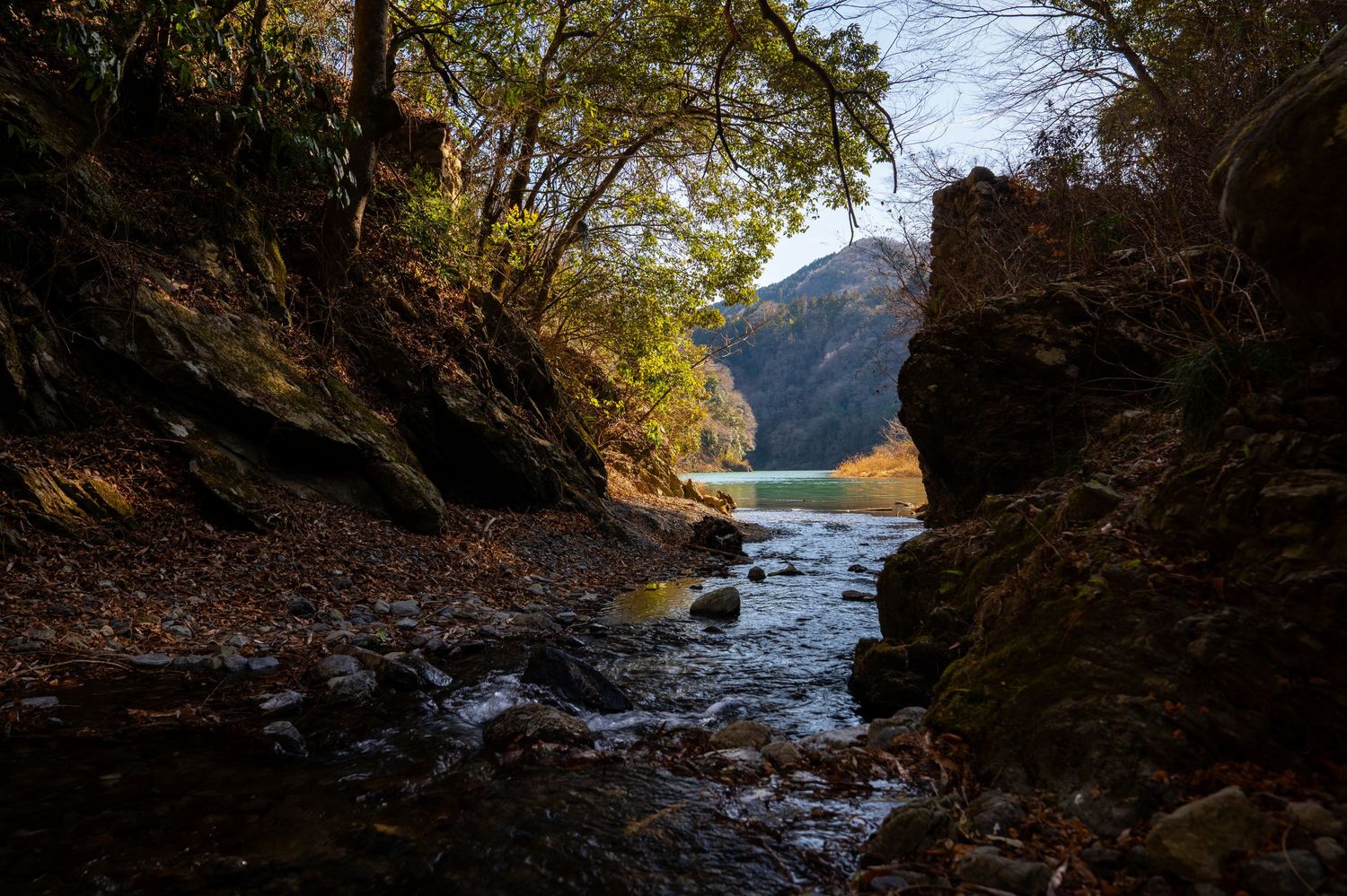 A scenic mountain river flows through autumn forest with sunlight filtering through bare tree branches.