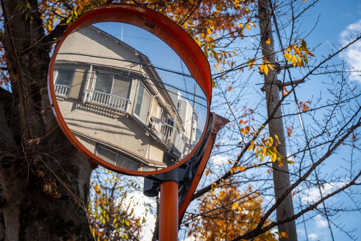 A row of convex traffic safety mirrors mounted on trees reflect buildings and autumn foliage against a blue sky.