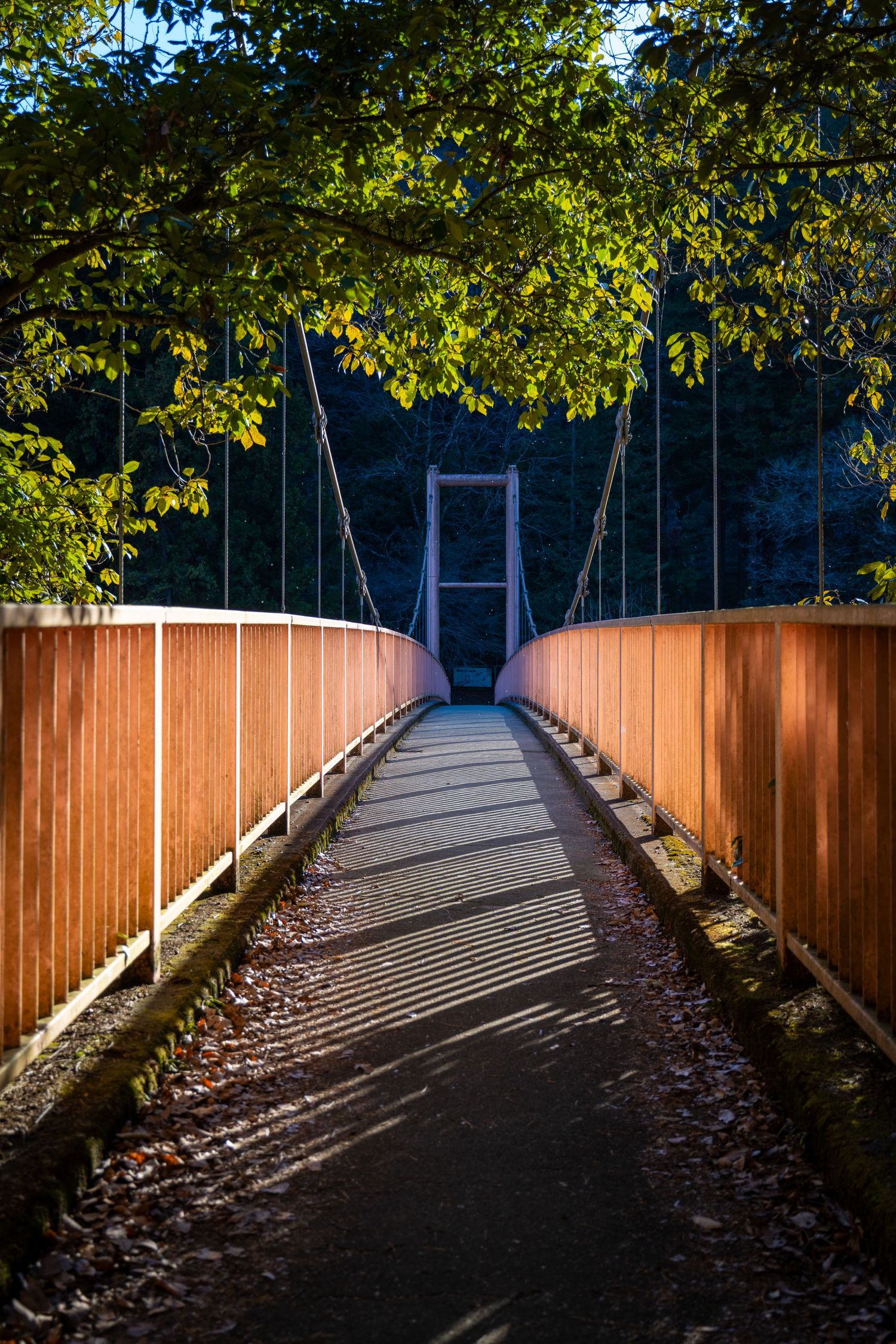 A wooden suspension footbridge with orange railings leads through green trees casting dramatic shadows on the path.