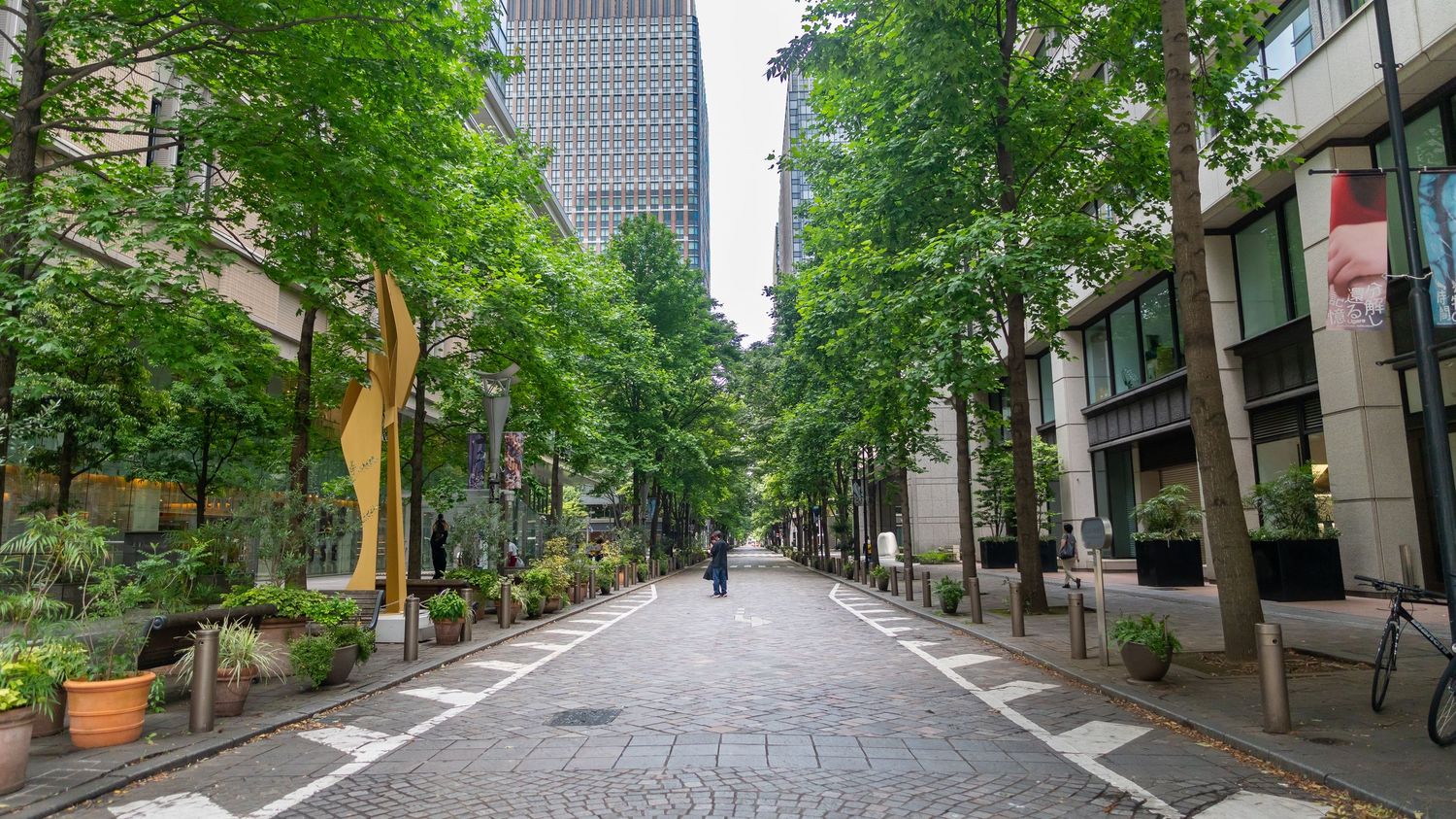 Tree-lined urban street with modern buildings and a lone pedestrian walking.