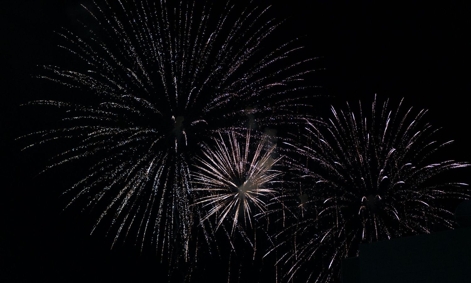 White fireworks bursting against dark night sky in starburst patterns.