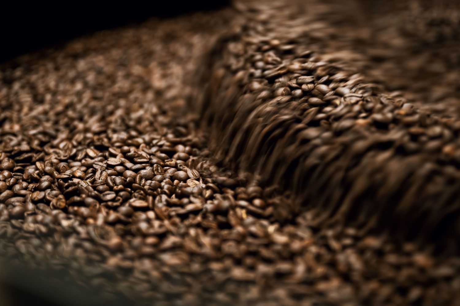 Close-up of dark roasted coffee beans cooling and spreading across a roasting drum surface. Bailies Coffee Roasters