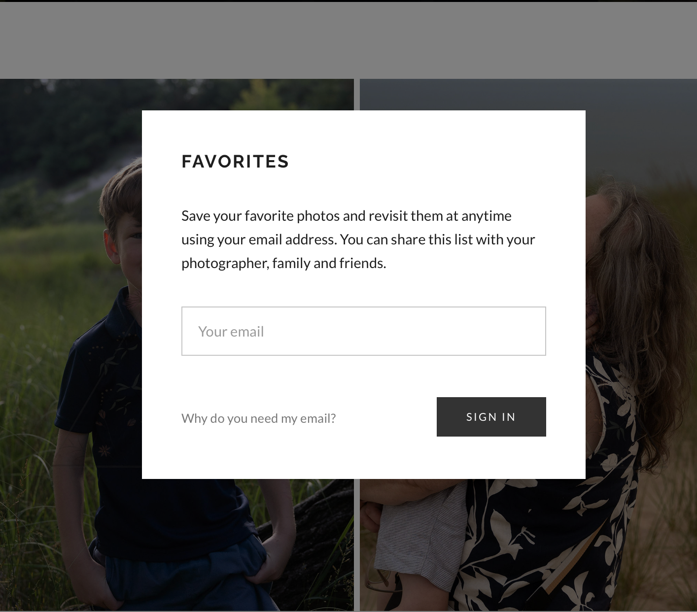 A grayscale website screenshot showing an email signup form with a 'Sign In' button and favorites section.