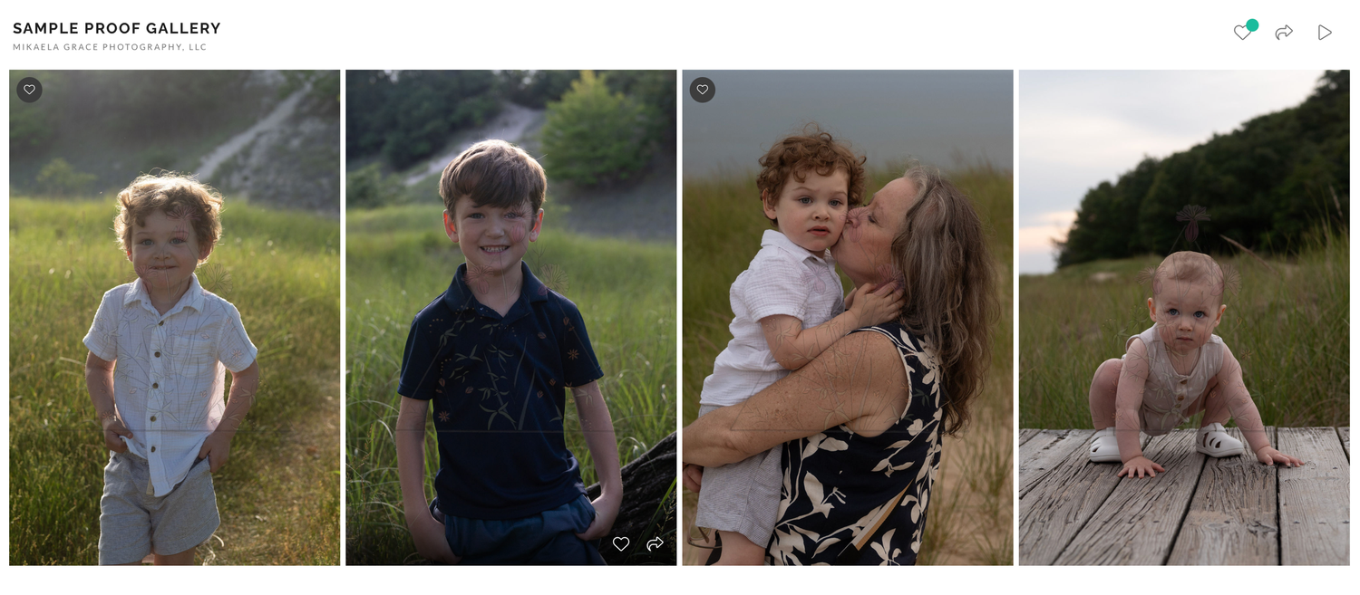 Four candid outdoor portraits capture moments of joy and connection in natural sunlit settings.