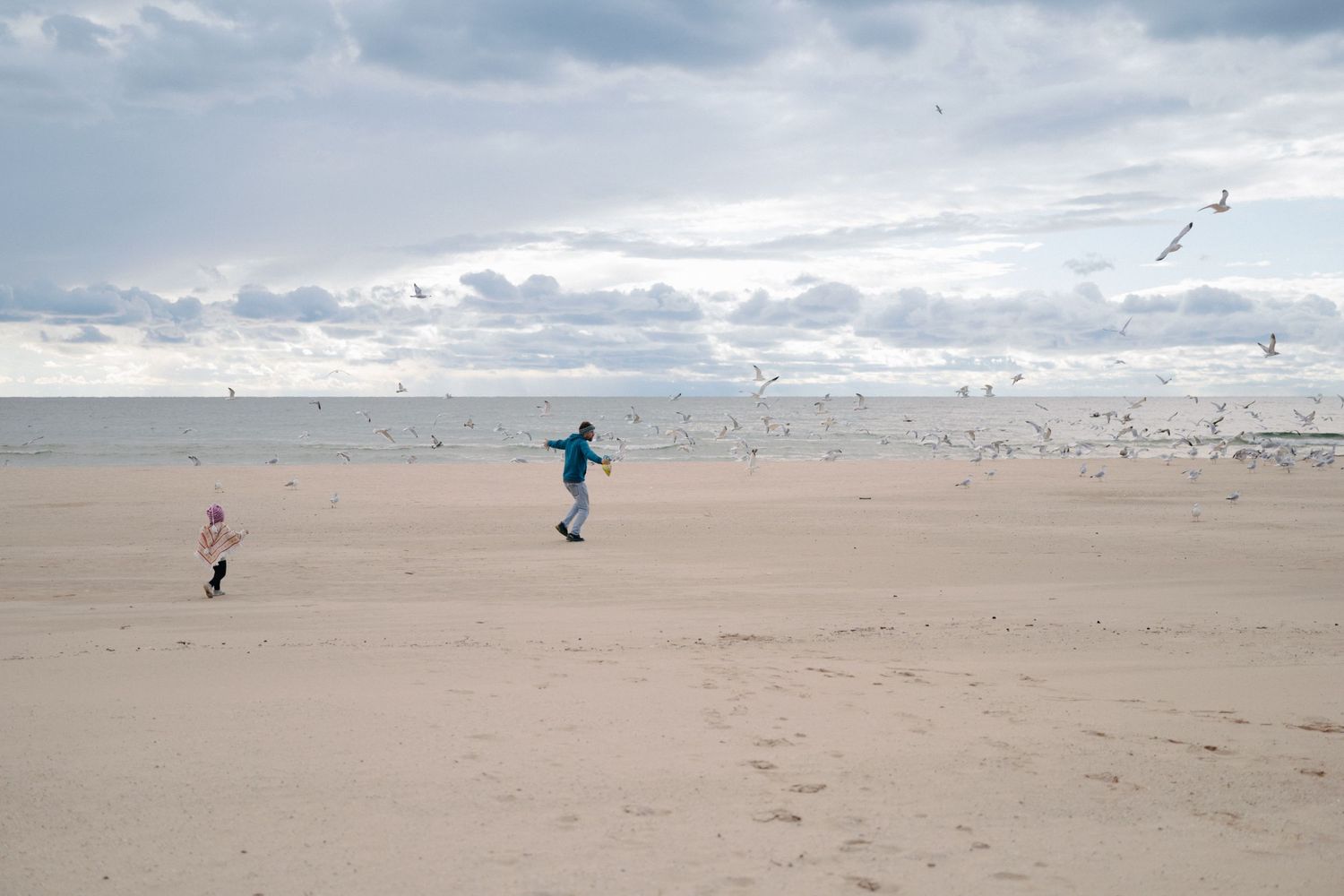 Wide beach landscape with distant figures and seabirds flying under cloudy skies.