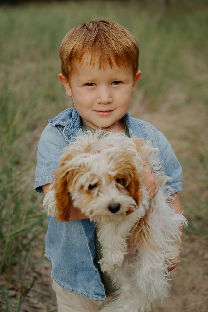 A small fluffy white and brown dog being held by someone wearing denim in an outdoor setting.