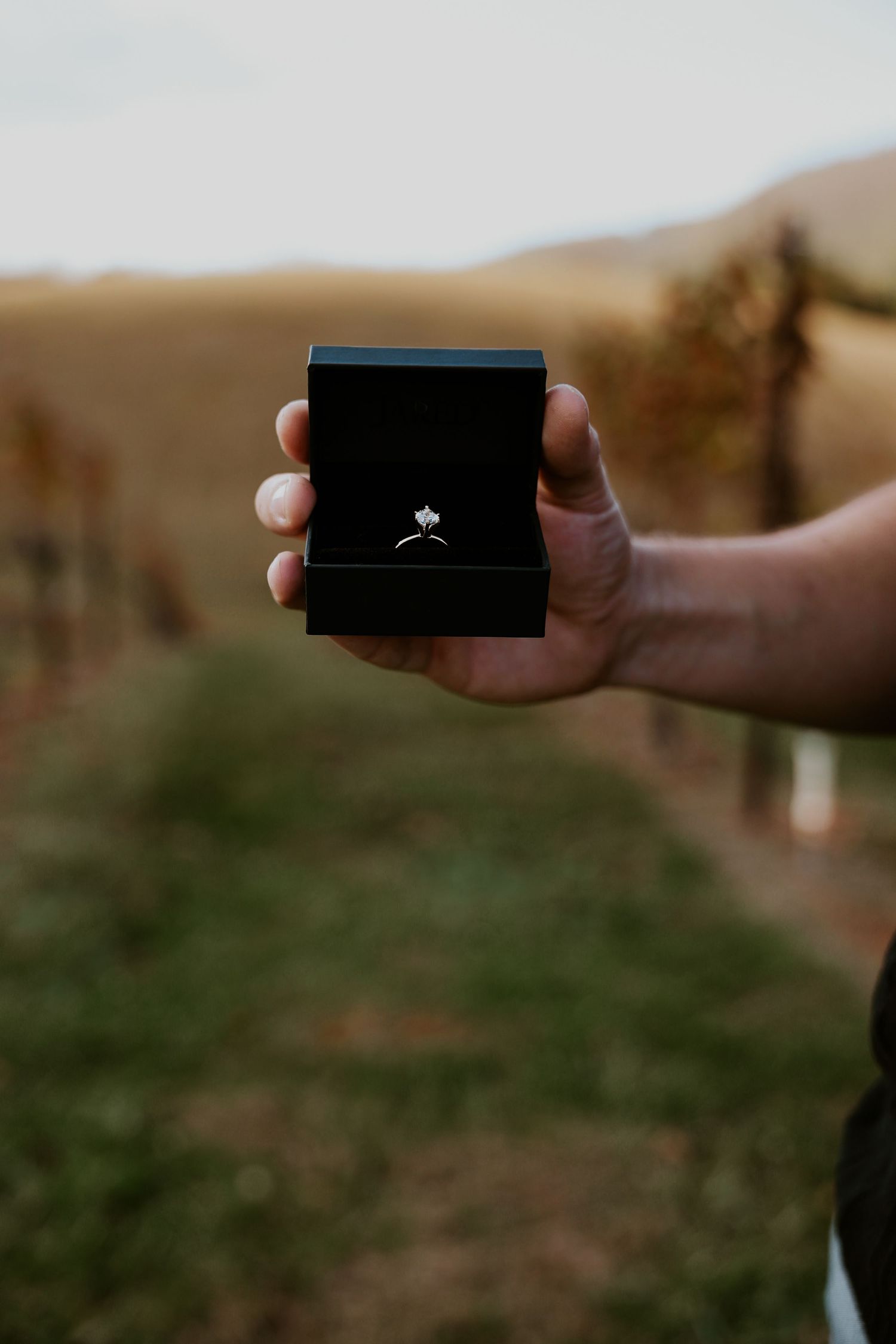 - Knoxville TN/ East TN Engagement Photography