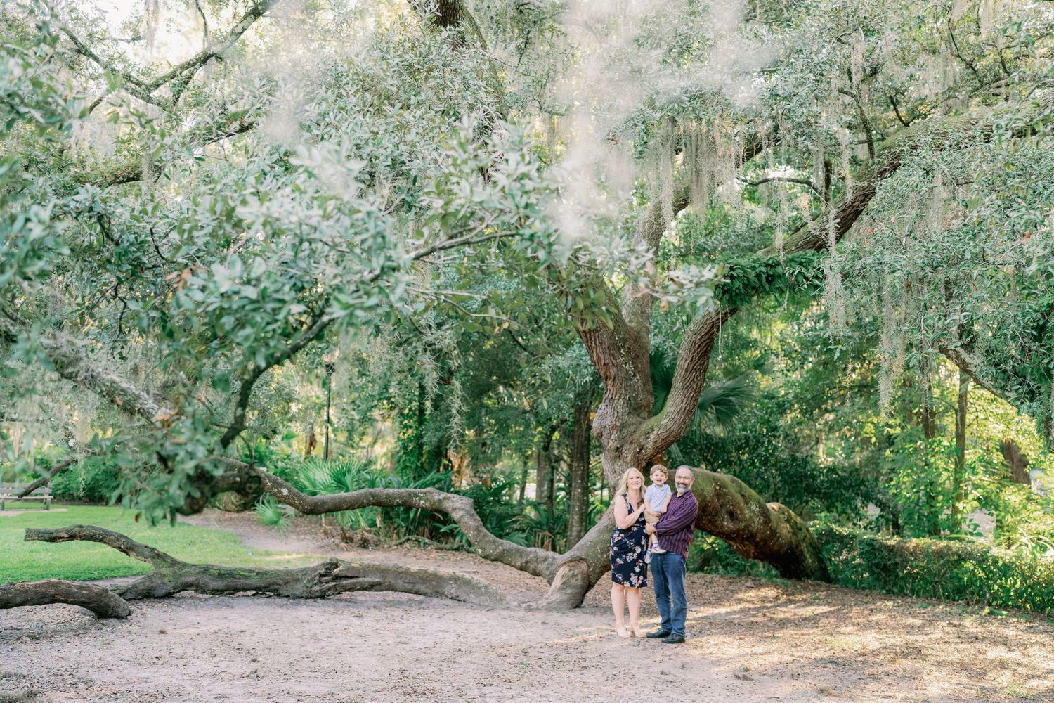 A scenic wooded path with overhanging trees and natural greenery creating a tranquil outdoor setting.