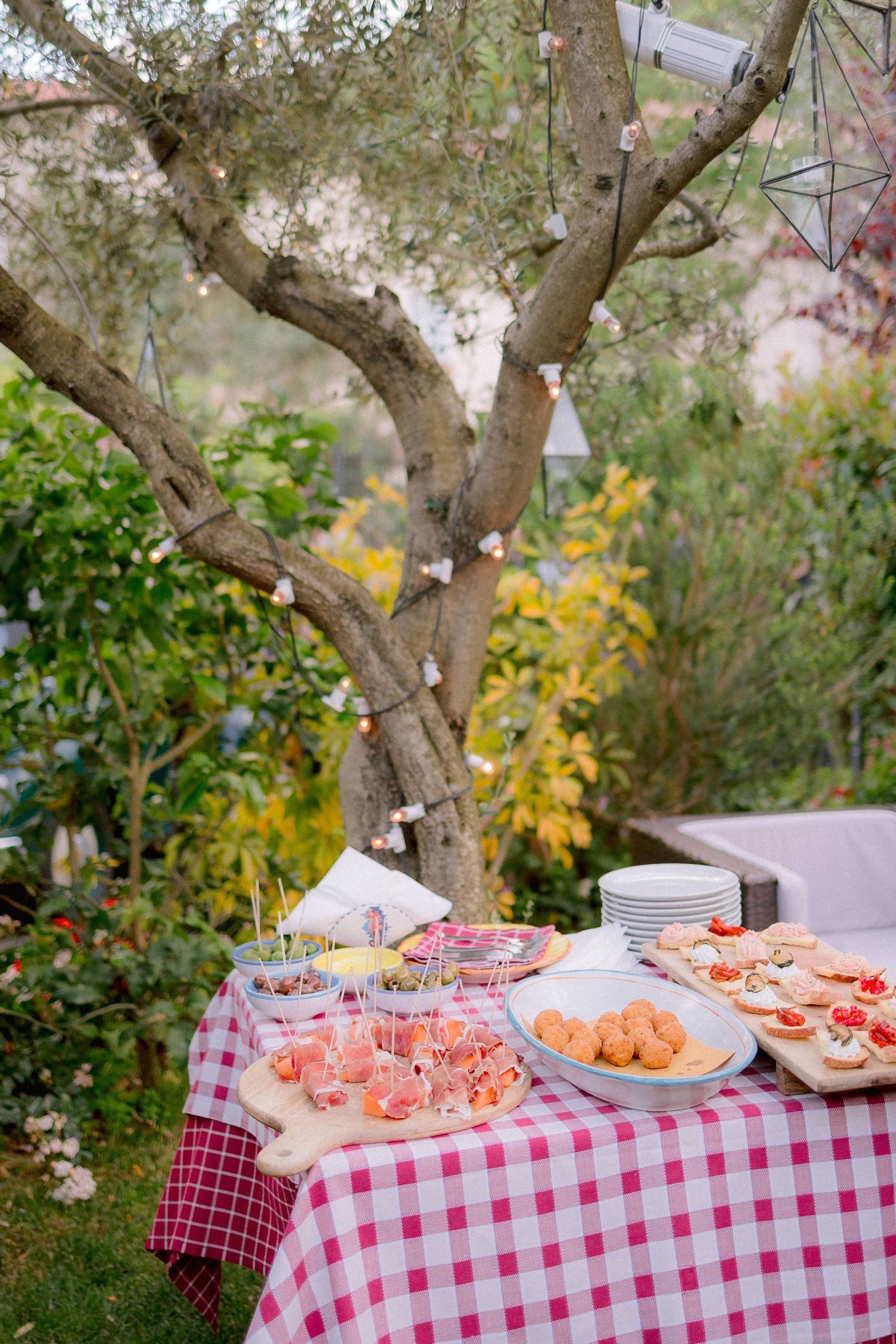 A garden party table with red checkered tablecloth displays appetizers and plates under a rustic olive tree.