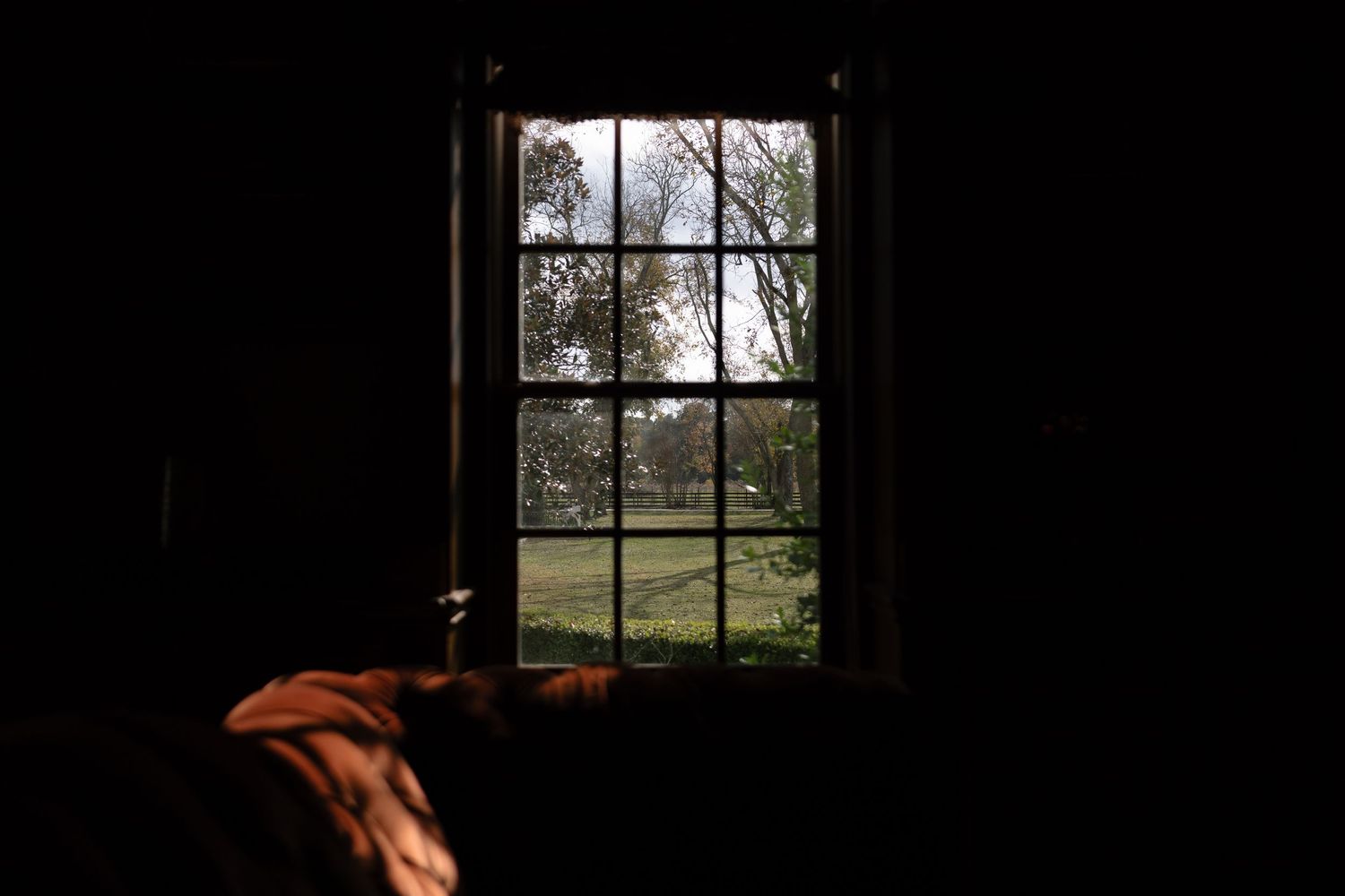 A dark silhouette of a window frame against a bright sky with trees visible in the background.