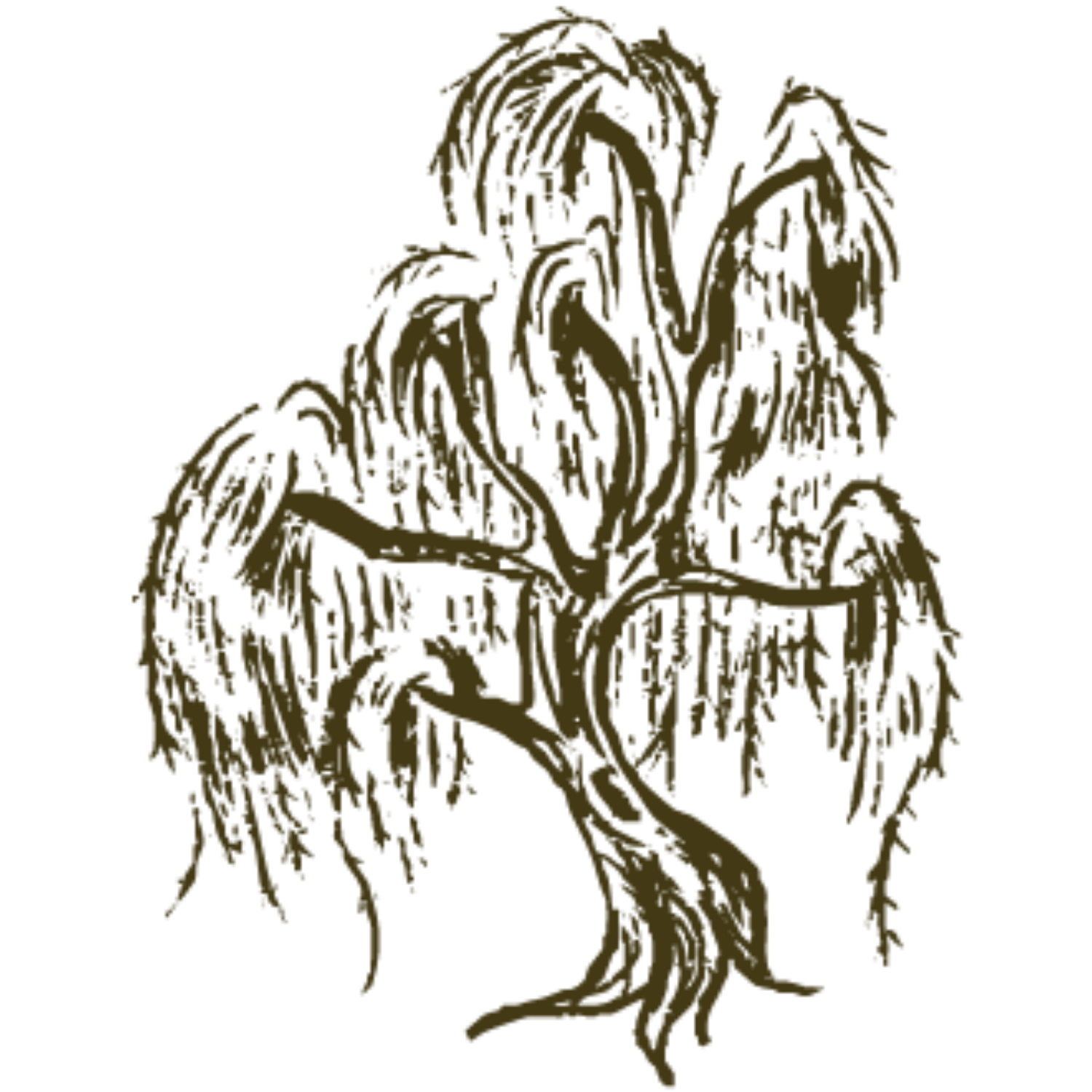 Artistic black and white sketch of weeping willow trees with drooping branches in a minimalist style.