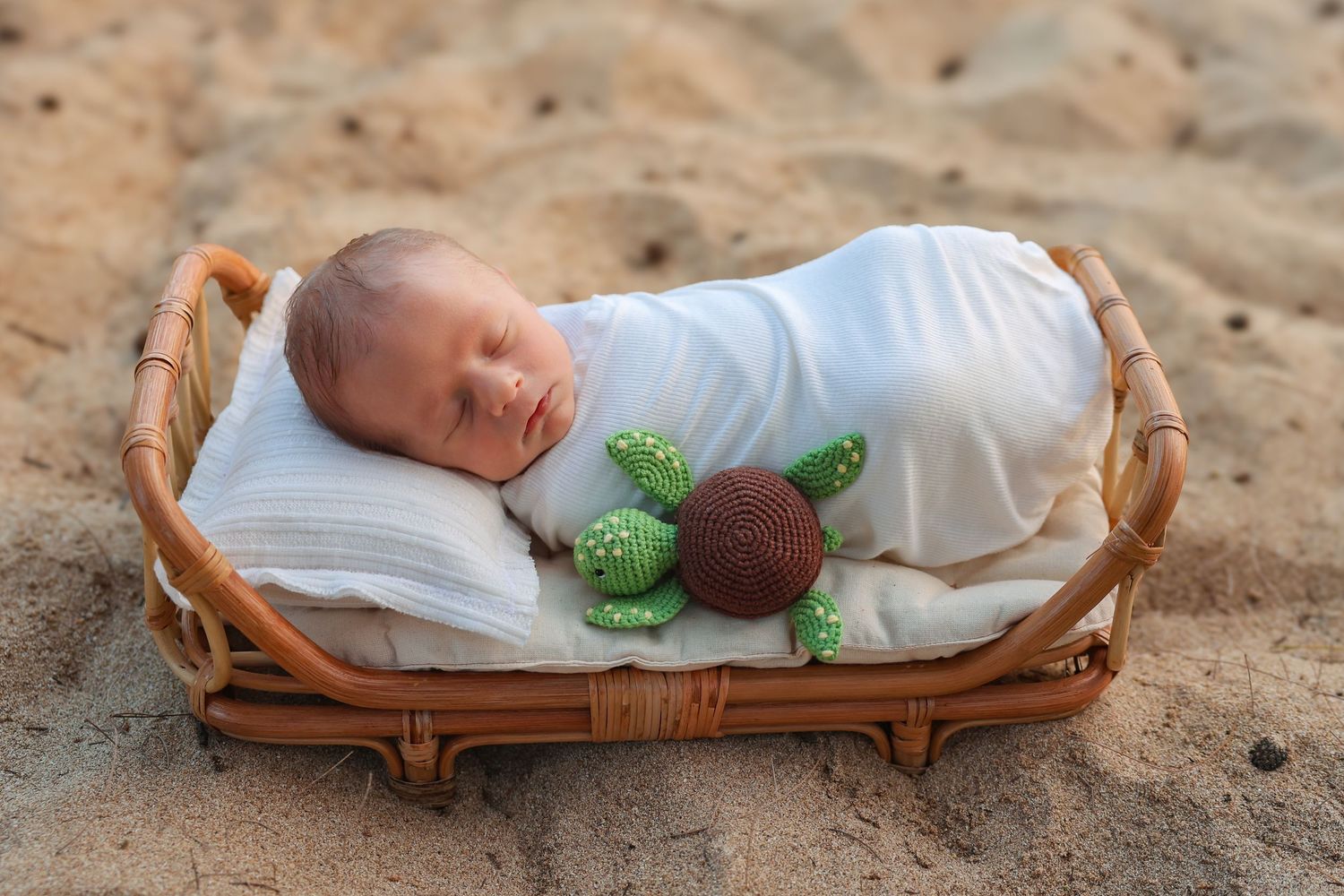 Baby asleep on beach basket with sea turtle plush prop beside them.