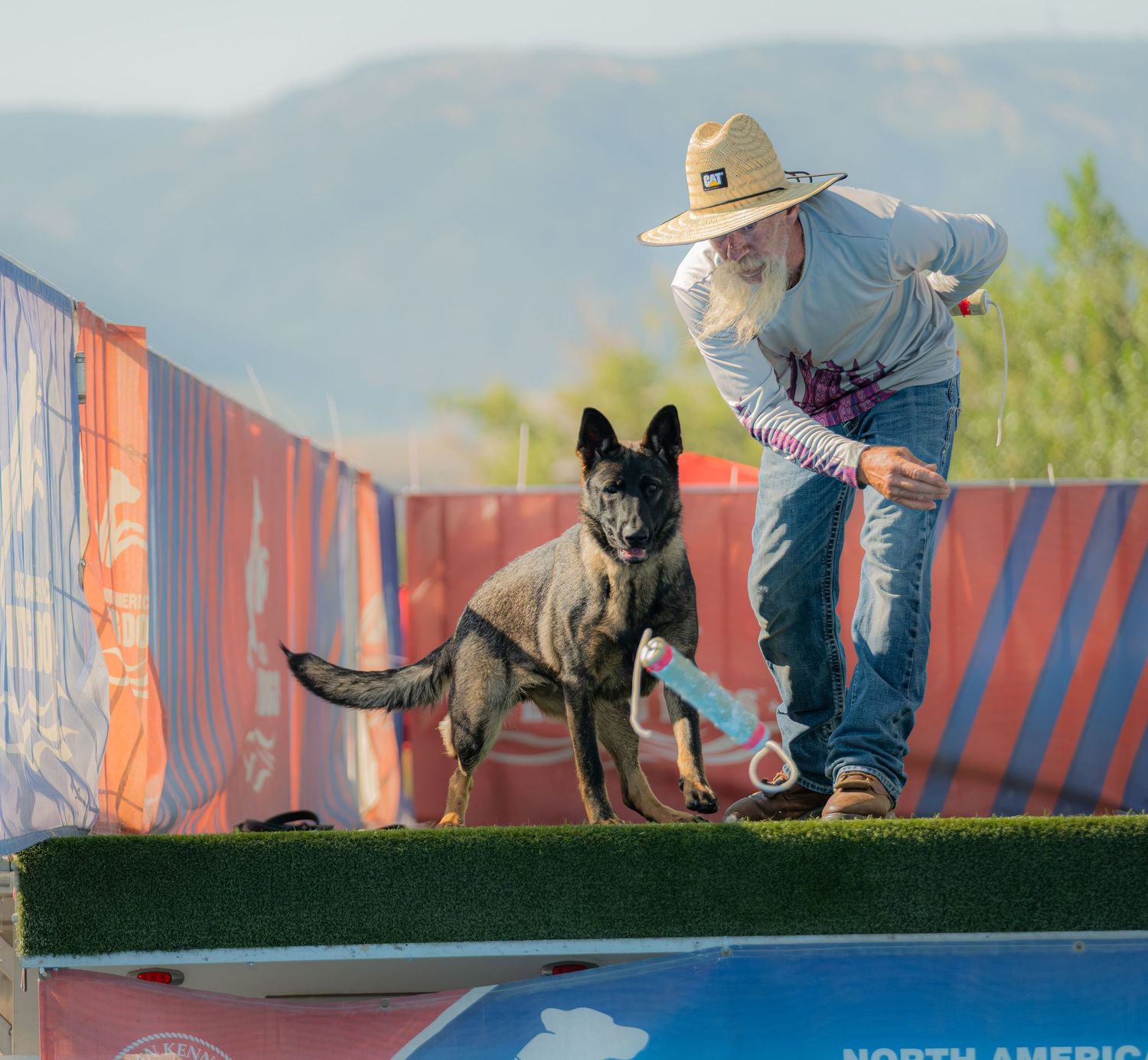 An elderly man in a straw hat rewards a black German Shepherd dog during an outdoor agility competition.