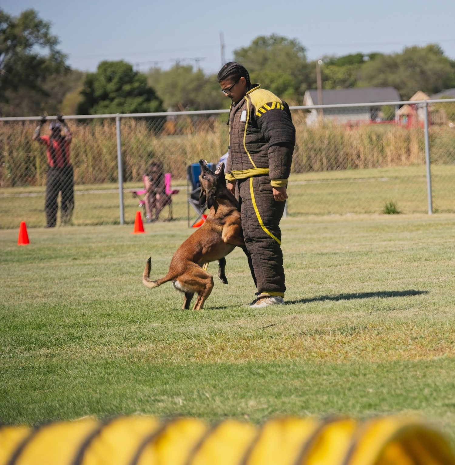 Dog and handler practicing agility training on an outdoor field course with orange cones and obstacles.