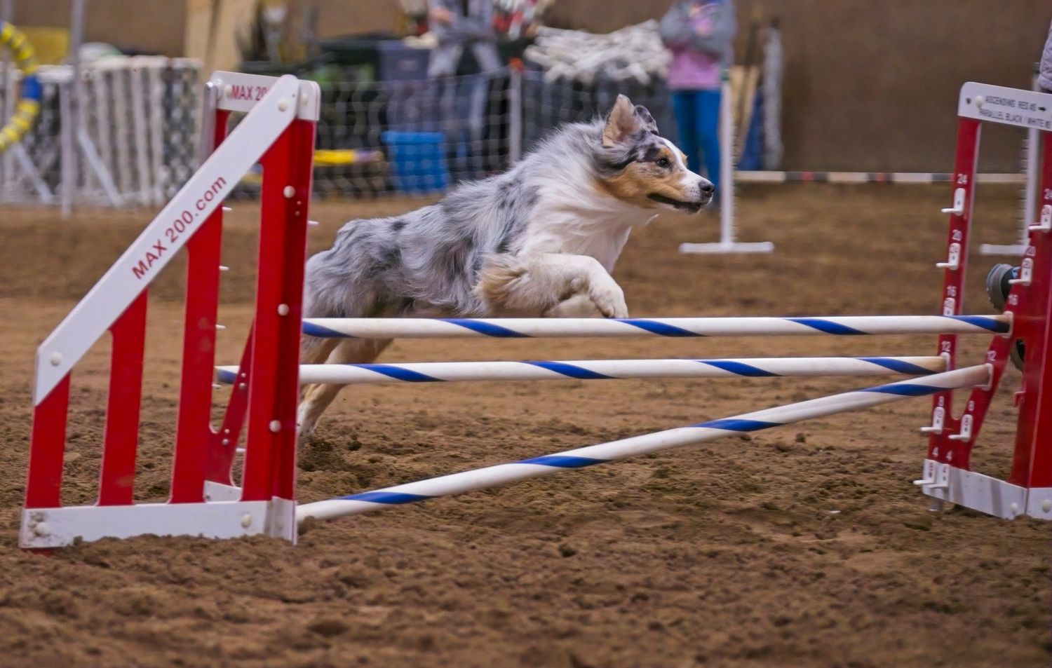 A series of red and white horse jumping poles arranged on a dirt arena for equestrian competition.