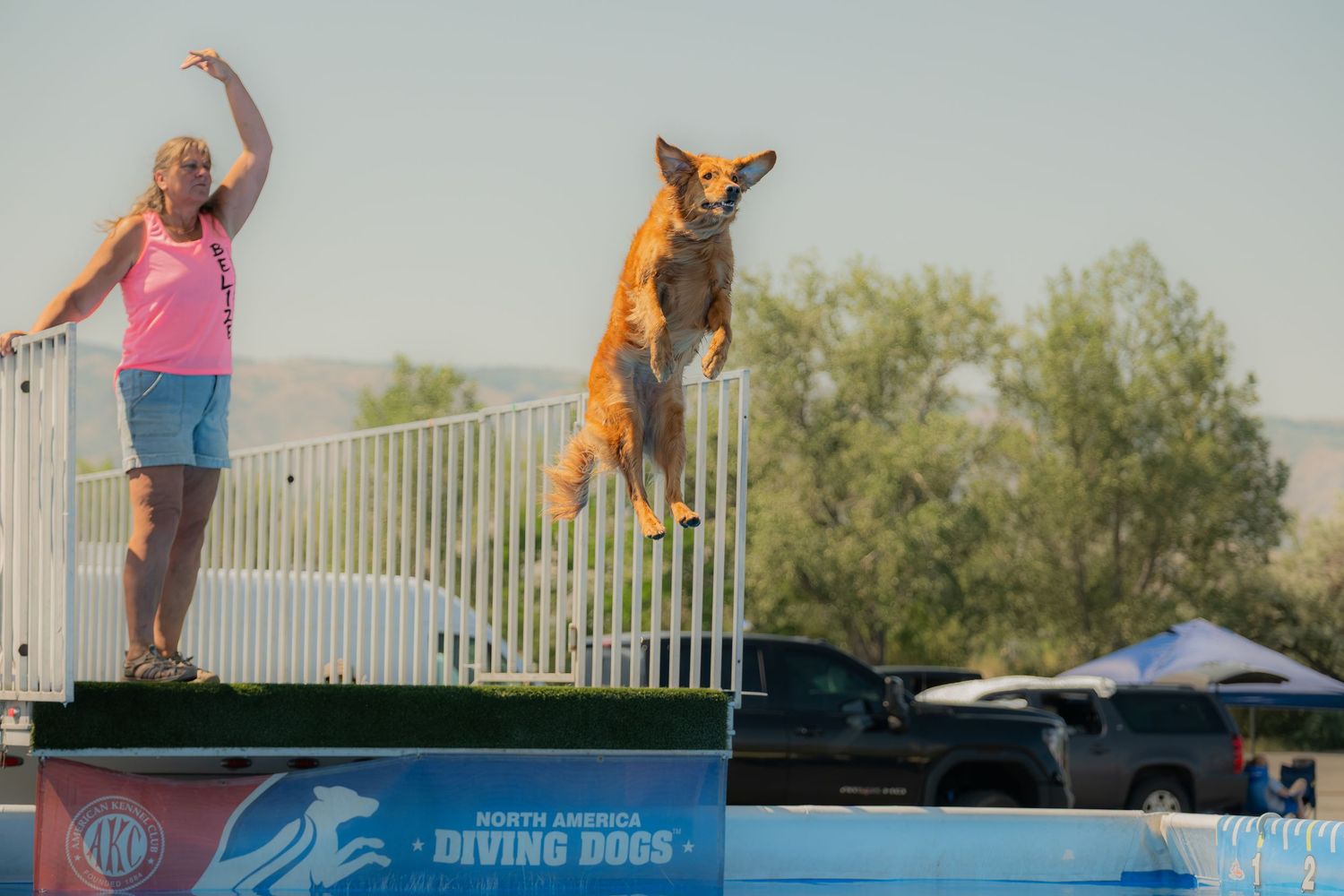 A dog leaps off a diving dock platform at a North America Diving Dogs competition while a woman in pink cheers.