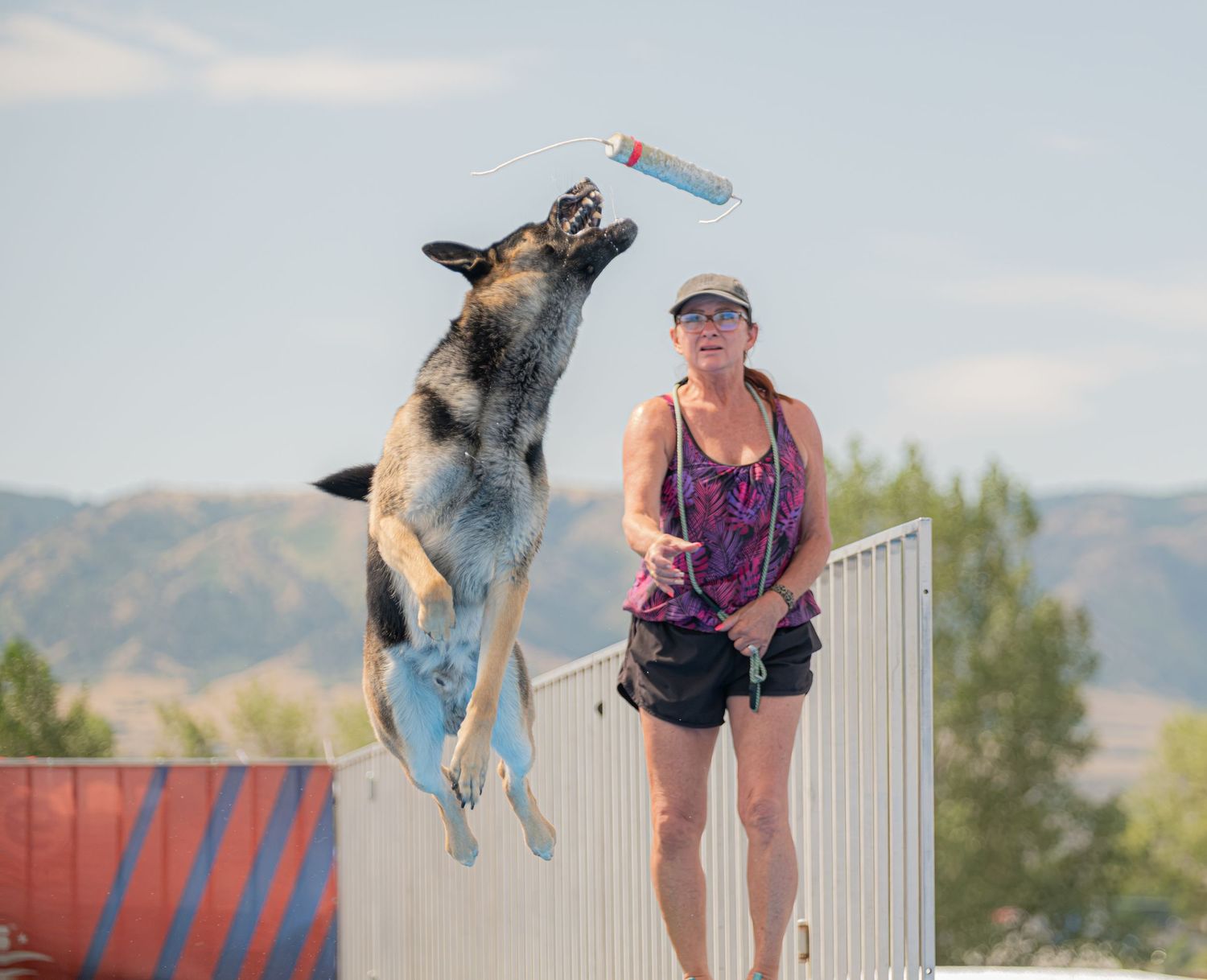 A German Shepherd dog leaps high into the air toward a toy held by a woman outdoors with mountains in the background.