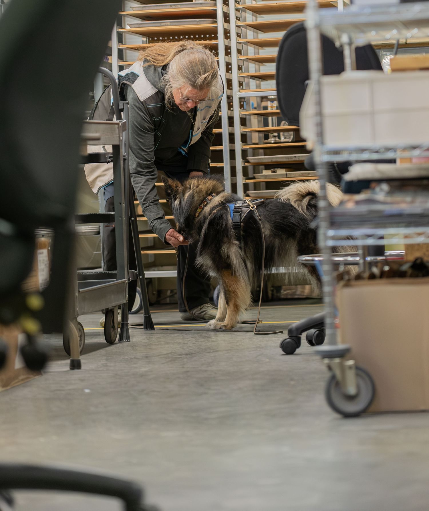 Person bending down to pet a large fluffy dog in an industrial warehouse storage area with metal shelving.