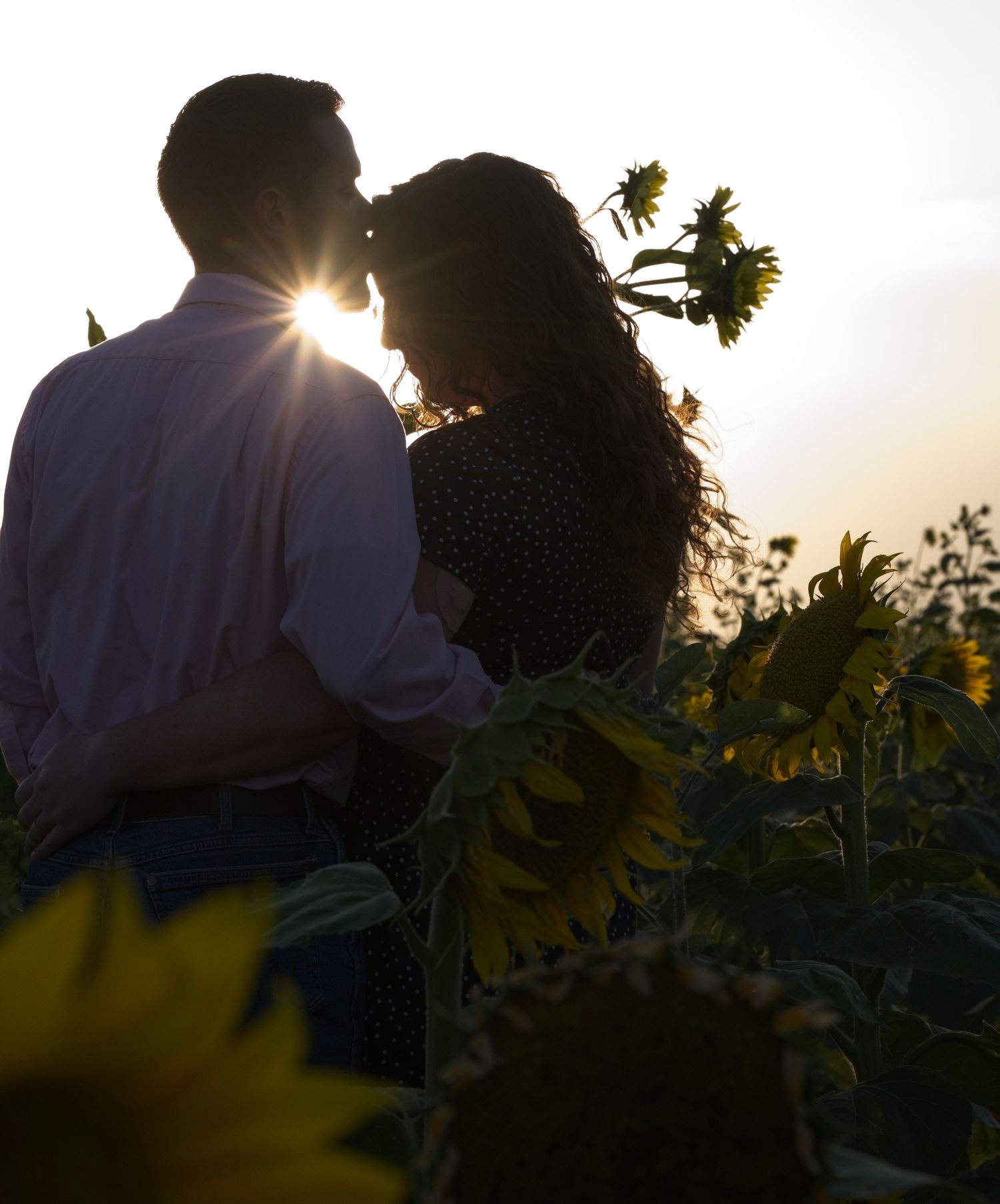 Silhouettes of two people standing in a sunflower field at sunset with sun flare creating a dreamy atmosphere.