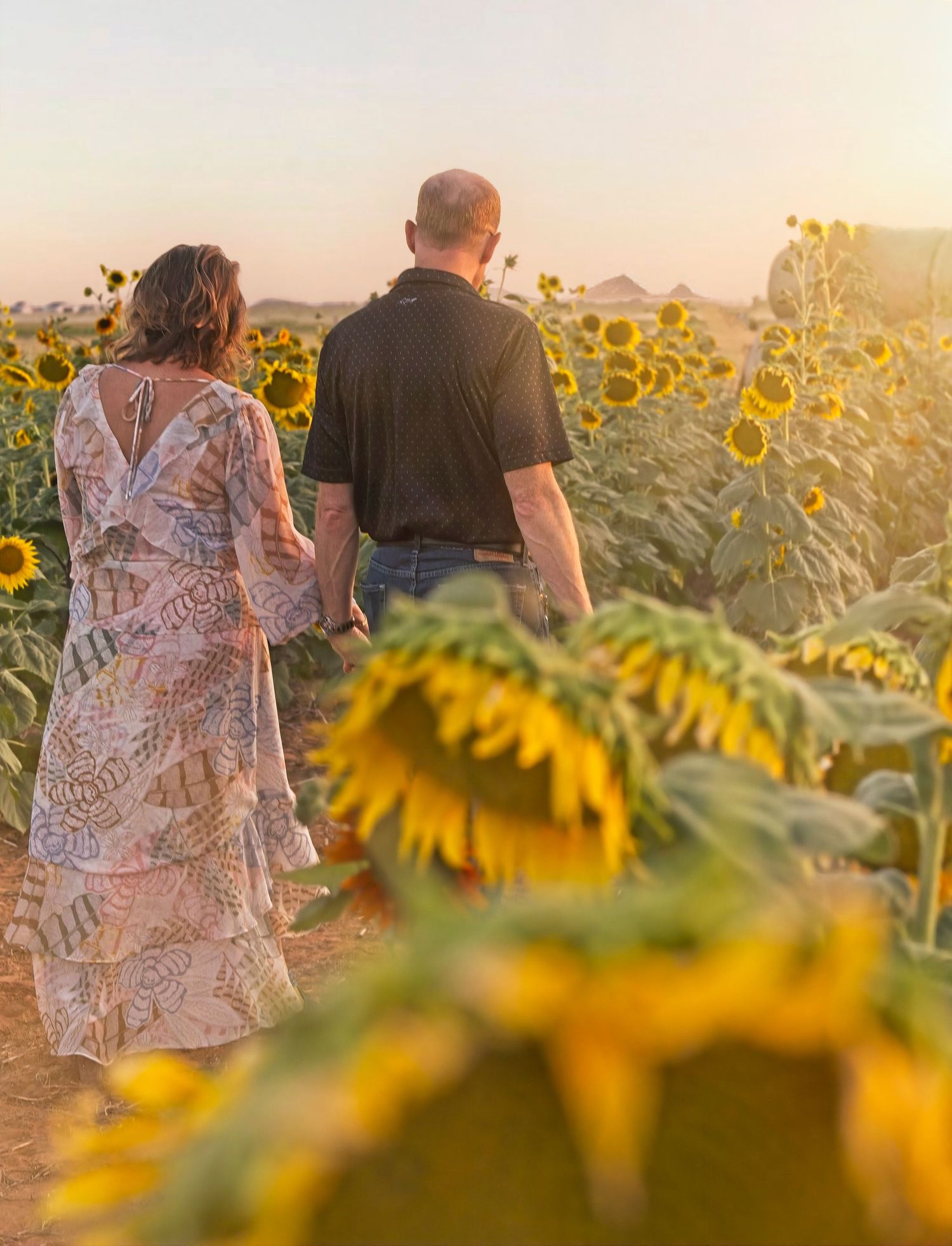 Two people walk through a sunflower field during sunset while viewed from behind.