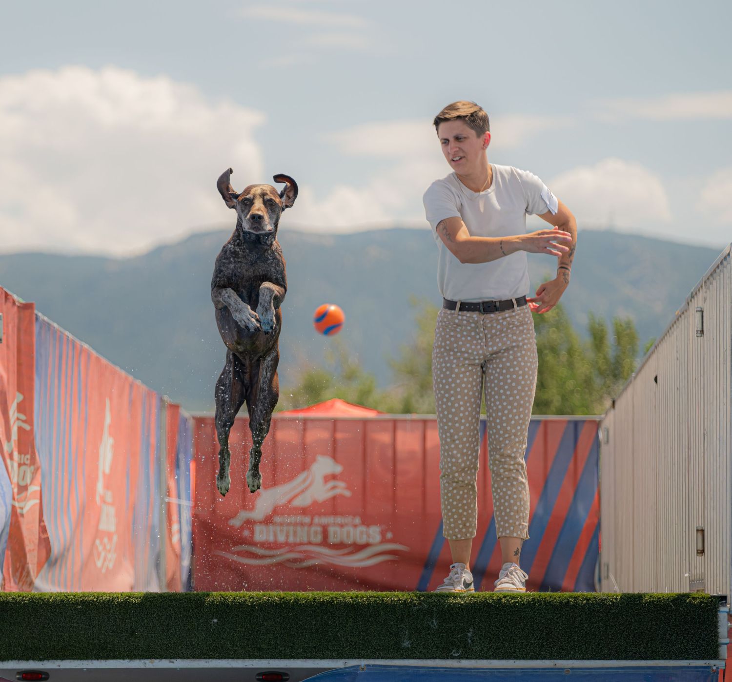 A woman throws an orange ball as a black dog leaps mid-air at an outdoor diving dog competition.