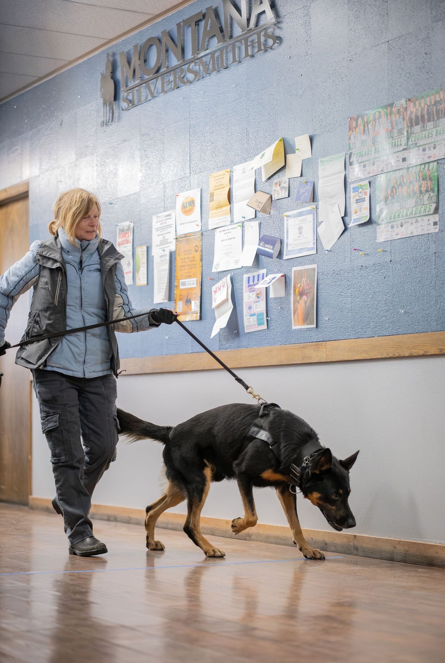 Woman walking a German Shepherd dog on a leash inside a Montana school hallway with bulletin board.