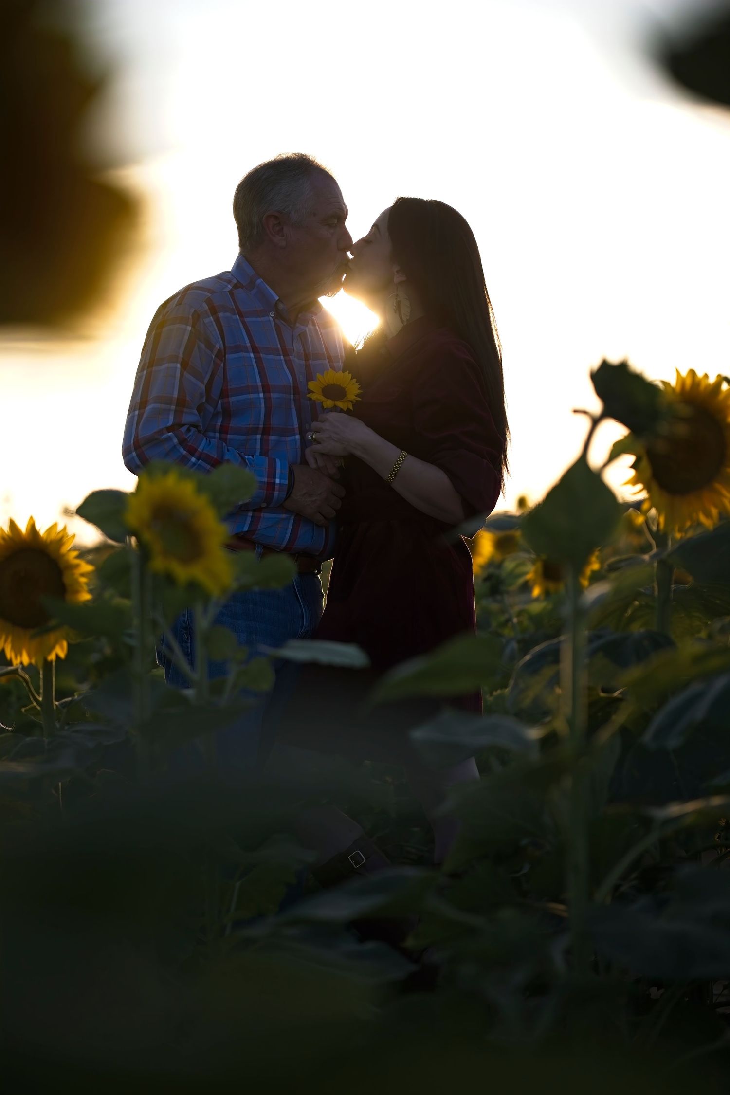 Romantic silhouette of a couple sharing an intimate moment in a sunflower field at sunset.