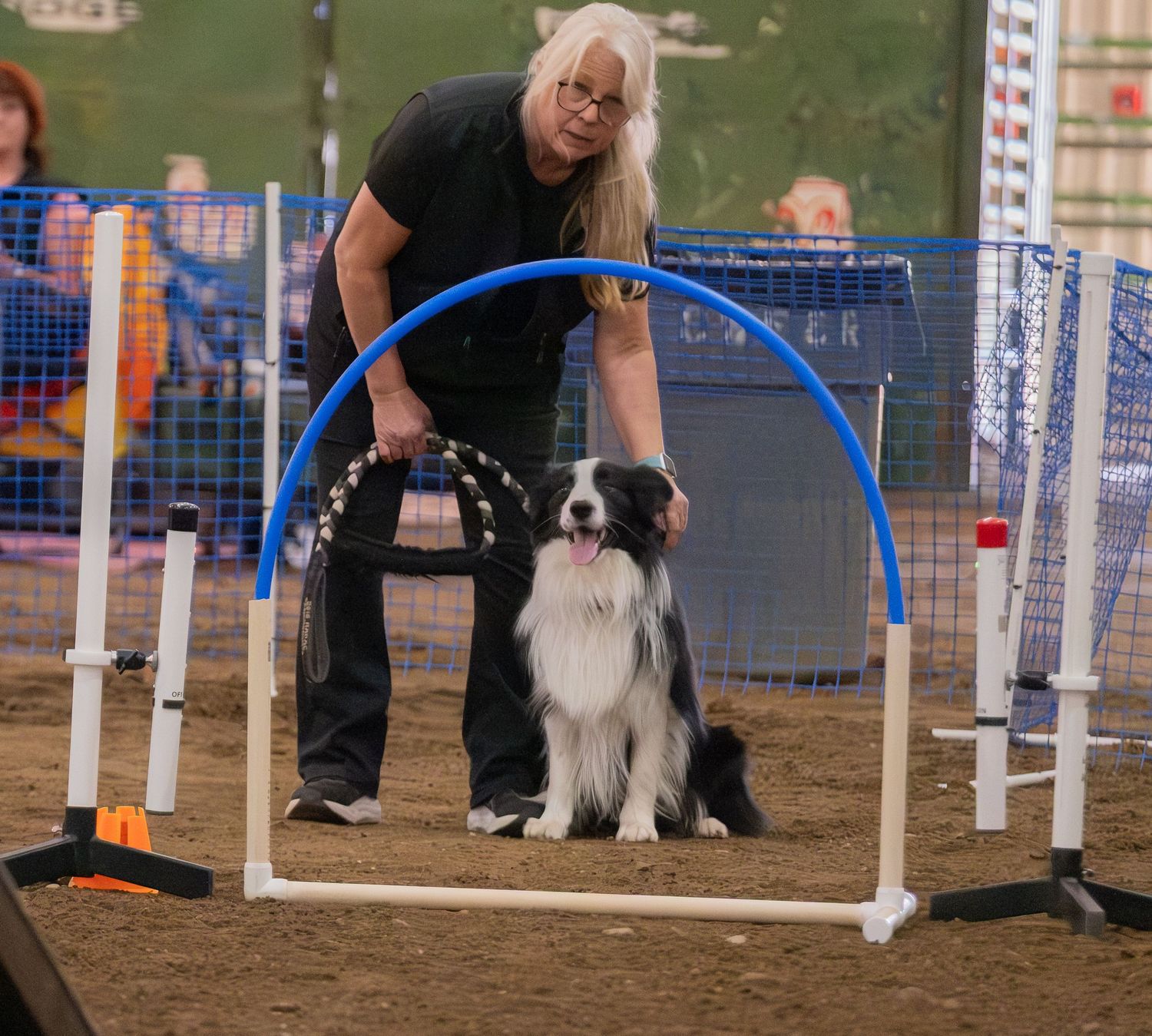 Border Collie sits attentively during dog agility training with handler holding hoop jump obstacle indoors.