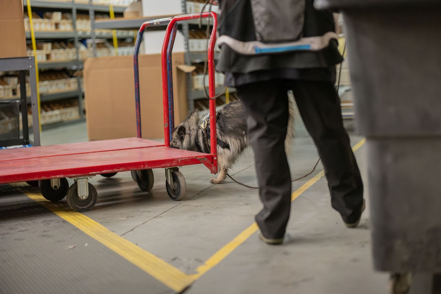 Worker pulling a red flatbed cart through a warehouse aisle with boxes on shelving in the background.