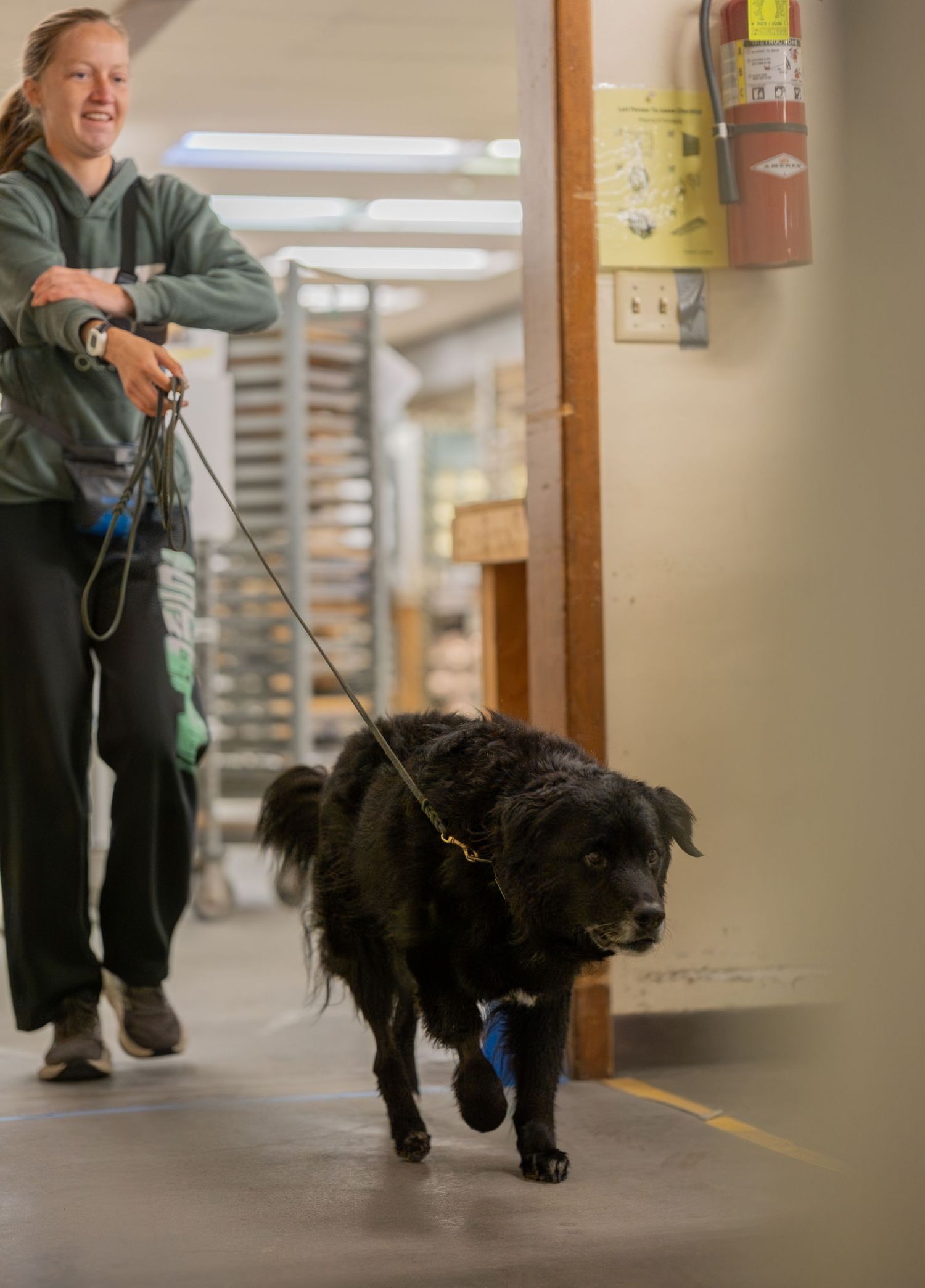 A smiling woman walks a fluffy black dog on a leash through an indoor facility hallway.