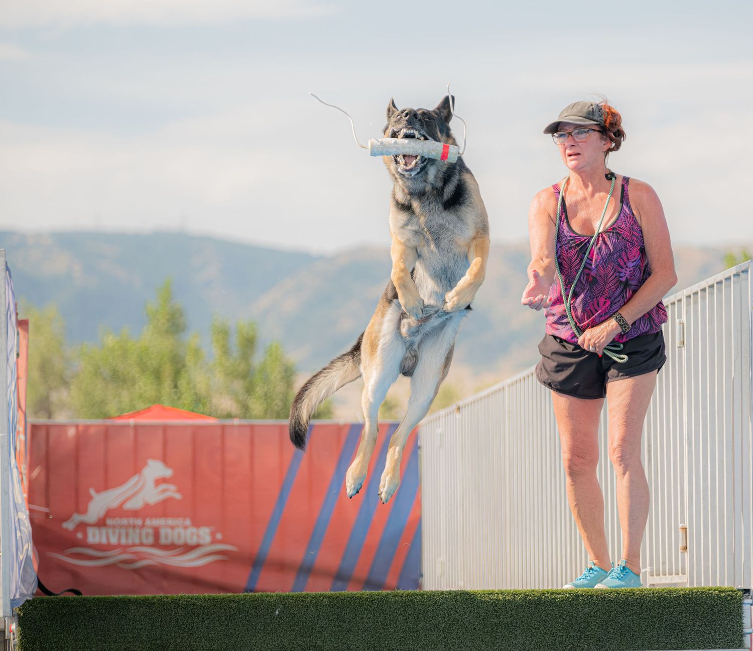 A husky dog leaps mid-air catching a toy while a woman in a pink tank top runs alongside at a diving dogs competition.