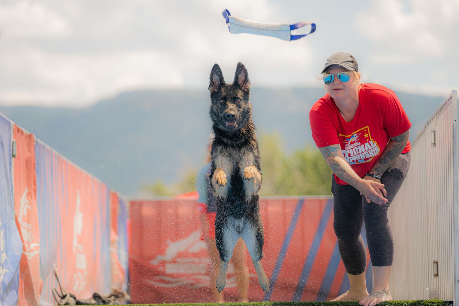 A German Shepherd leaps into the air as a woman in a red shirt throws a frisbee outdoors.