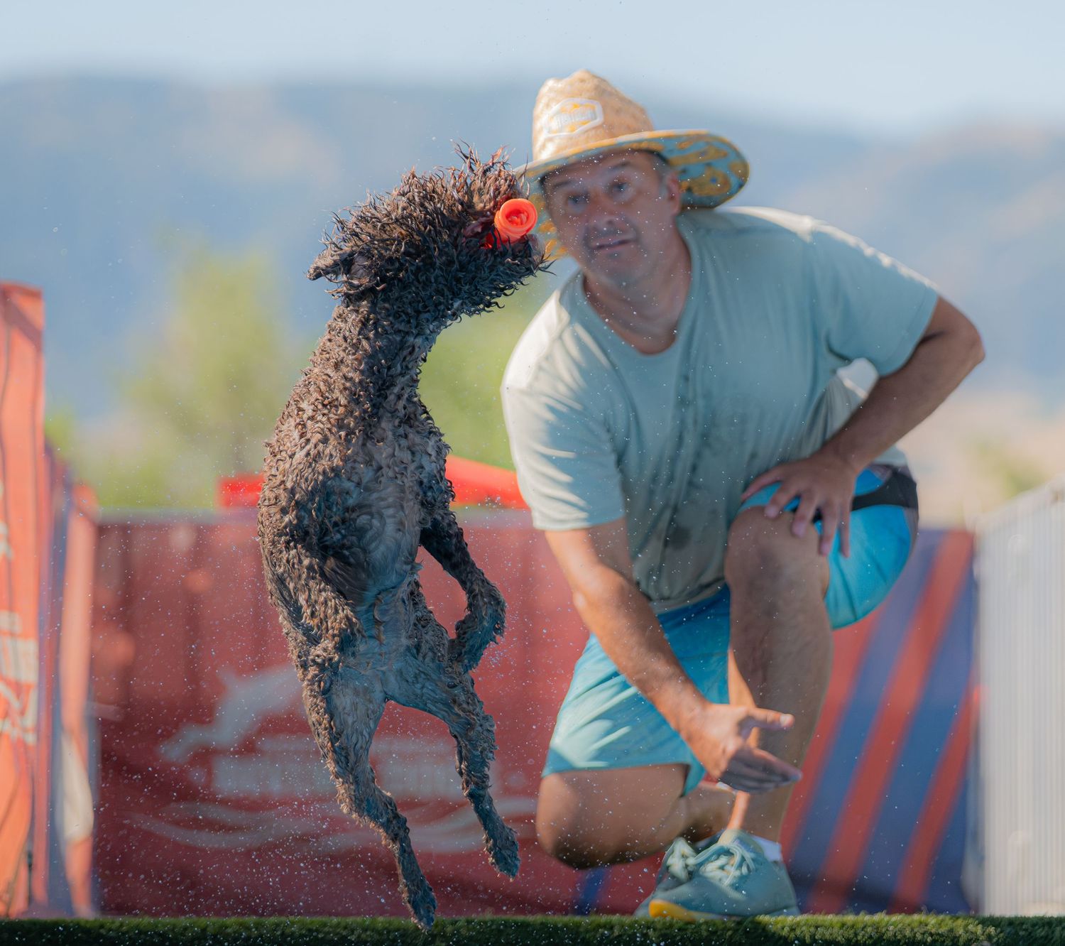 Man in straw hat crouches as wet curly dog leaps to catch orange frisbee outdoors at a dog disc competition.