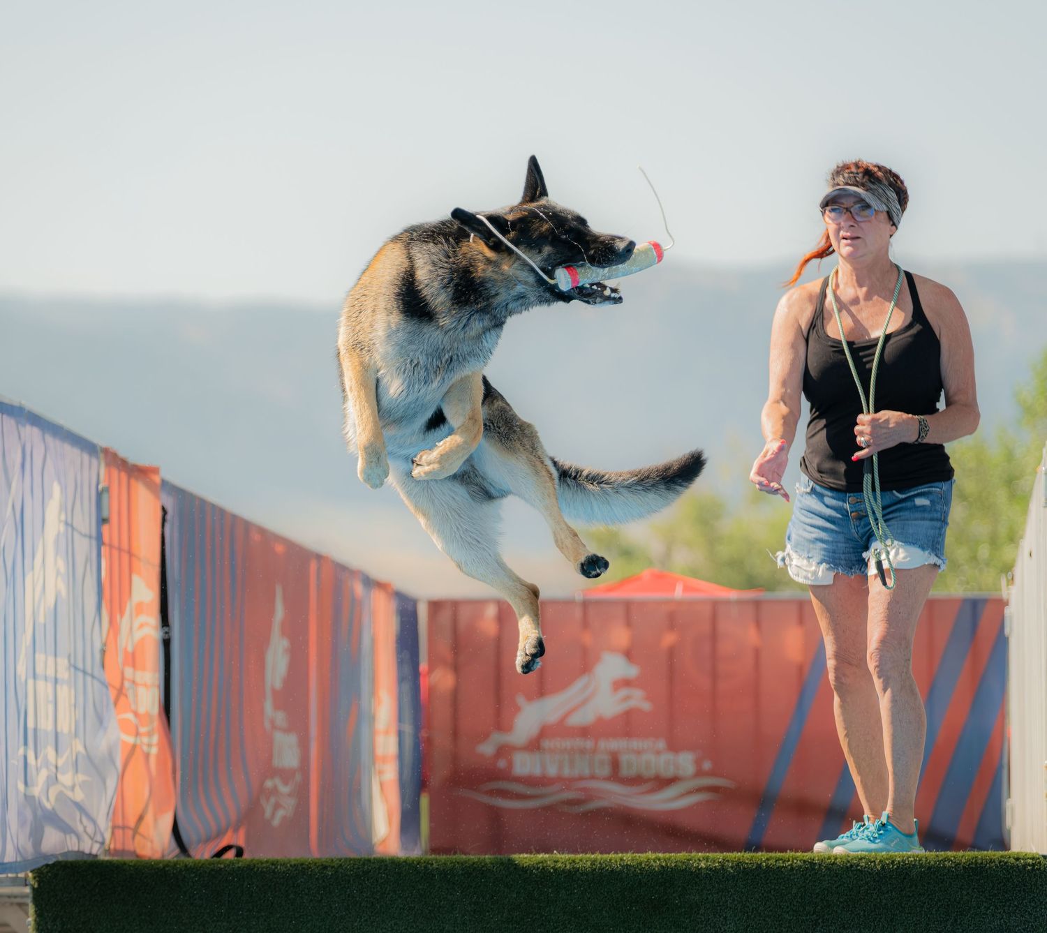 A German Shepherd leaps mid-air catching a toy while a woman in denim shorts watches at an outdoor dog sport event.