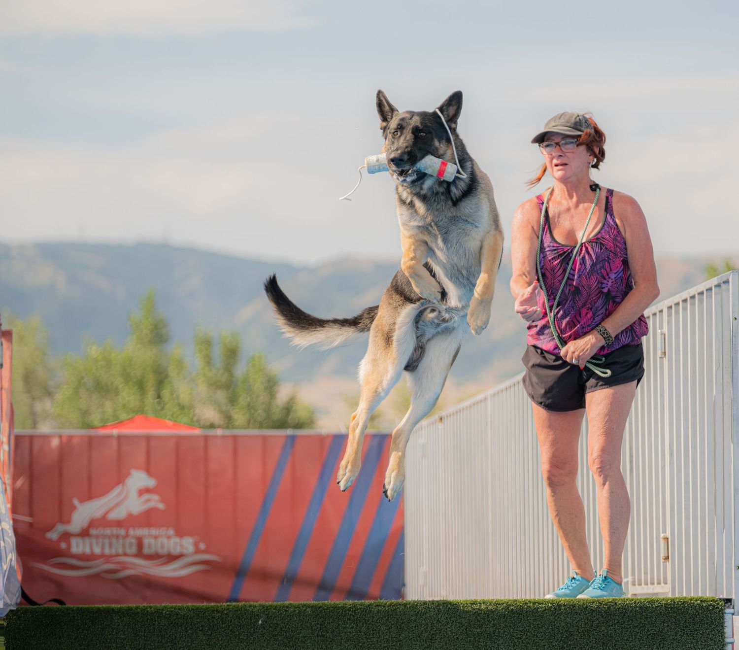 A dog leaps mid-air holding a toy beside a smiling woman at an outdoor diving dog competition with mountains in the background.