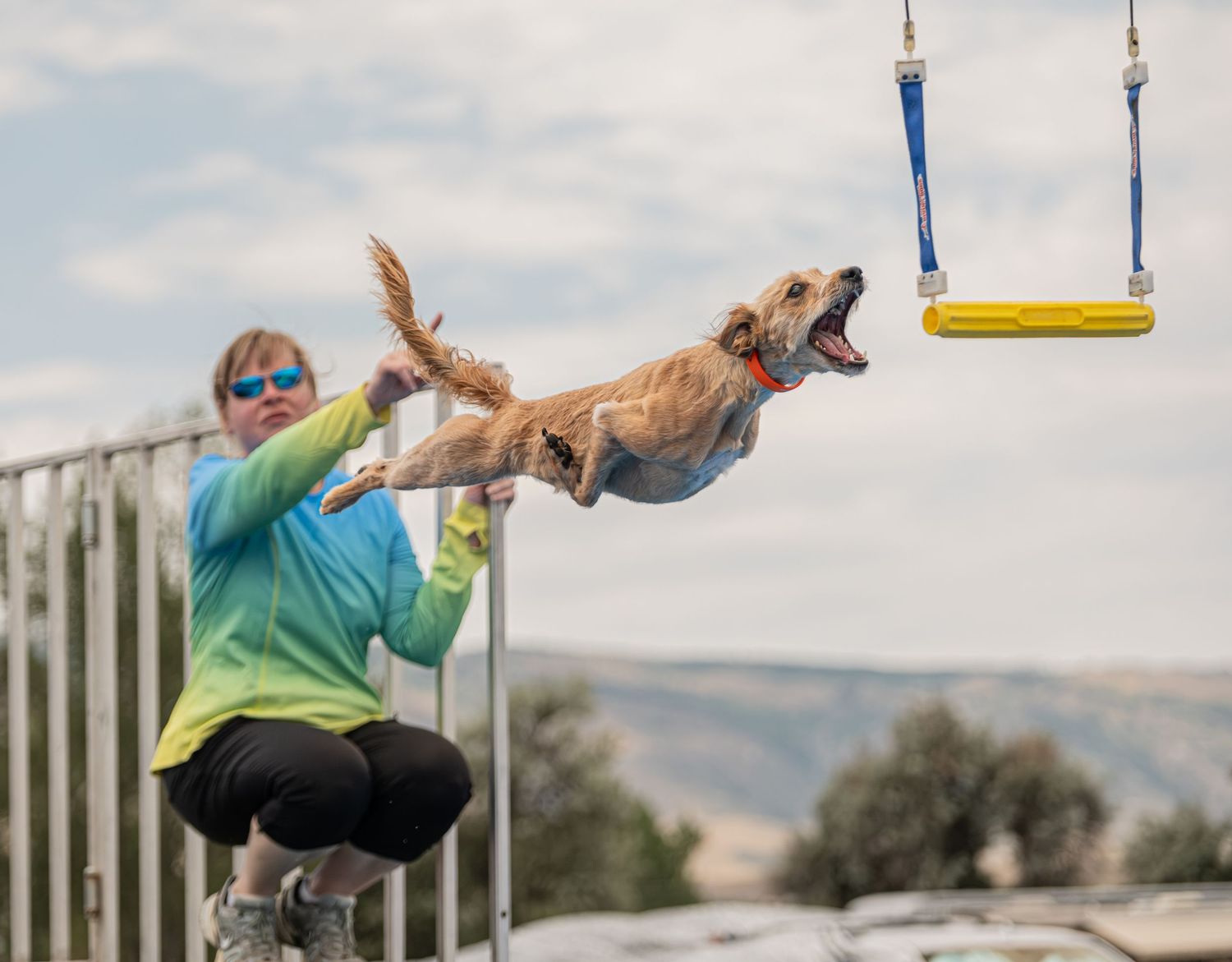 A golden dog leaps mid-air at an agility competition while a woman in a blue jacket crouches nearby outdoors.