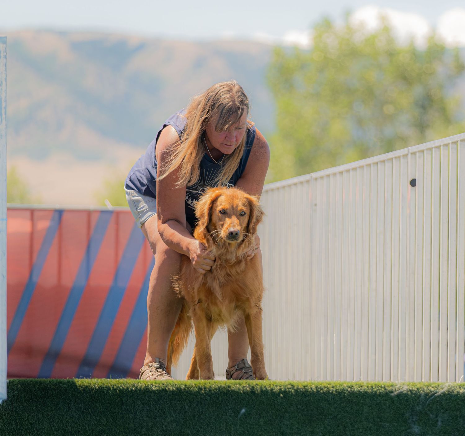Woman bending down with a golden retriever dog on green turf at an outdoor agility course.