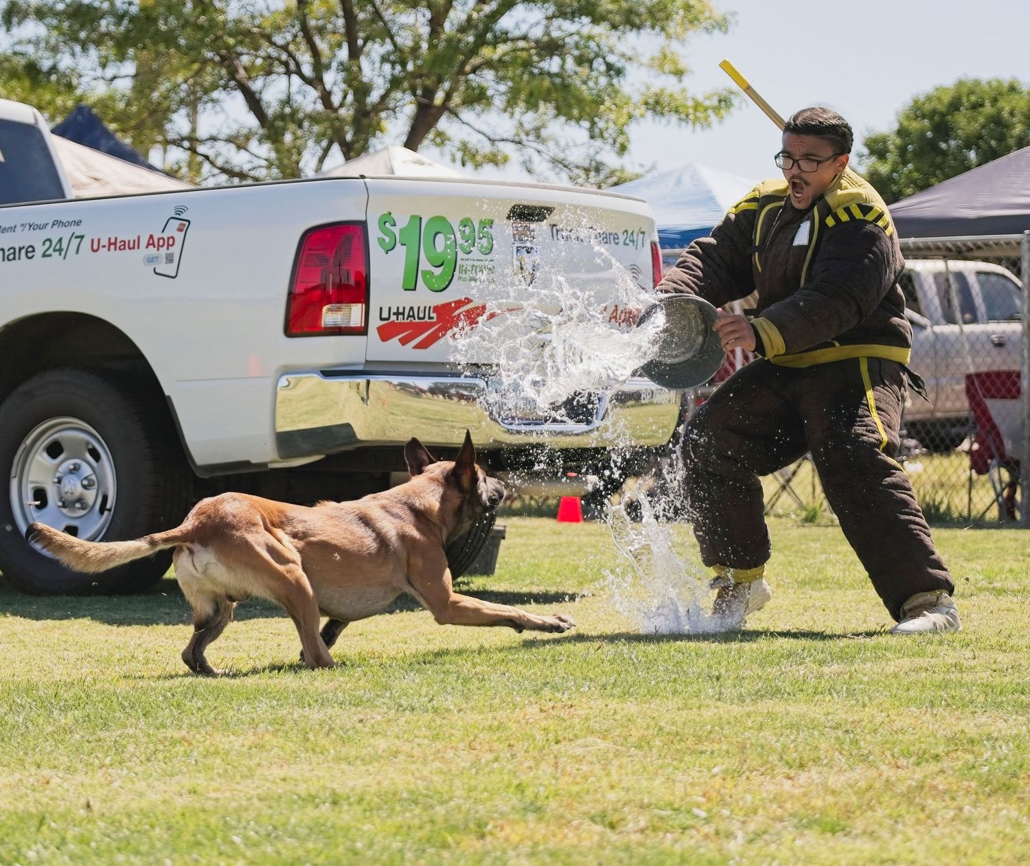A dog and handler team participate in a fast-paced agility competition on a sunny grass field.