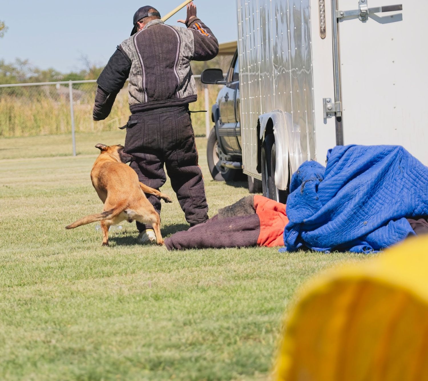 Working dog practicing obedience exercises on outdoor training field with equipment.