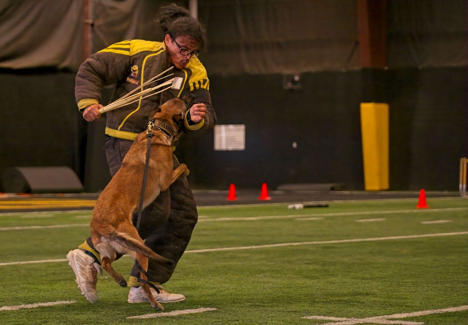A football player runs with the ball during practice on an indoor turf field with orange cones visible in the background.