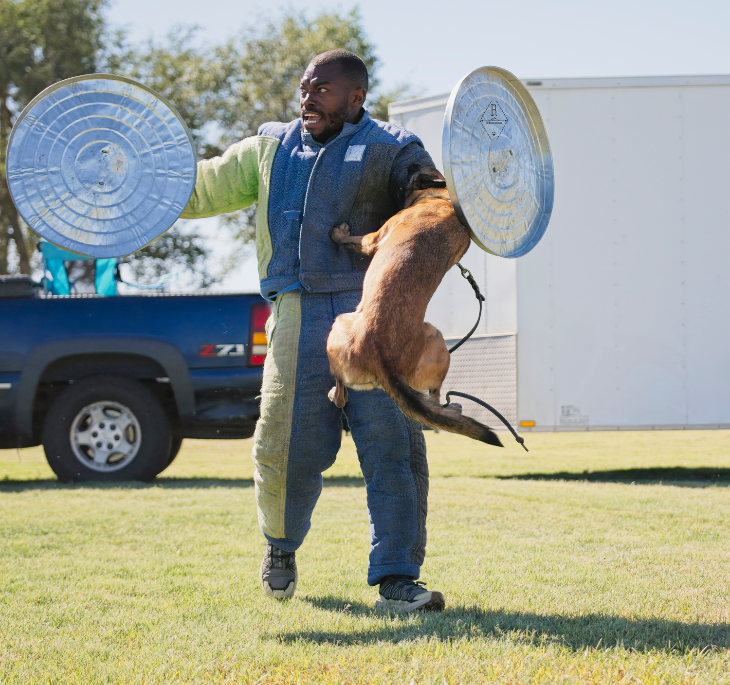 Four sequential photos show a dog practicing disc catching and retrieving exercises on a grassy field.