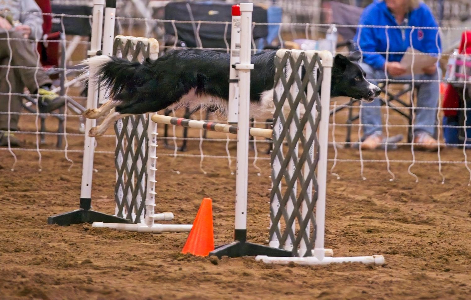 Black dog leaping over white agility course jump bars on dirt ground with orange cone marker.