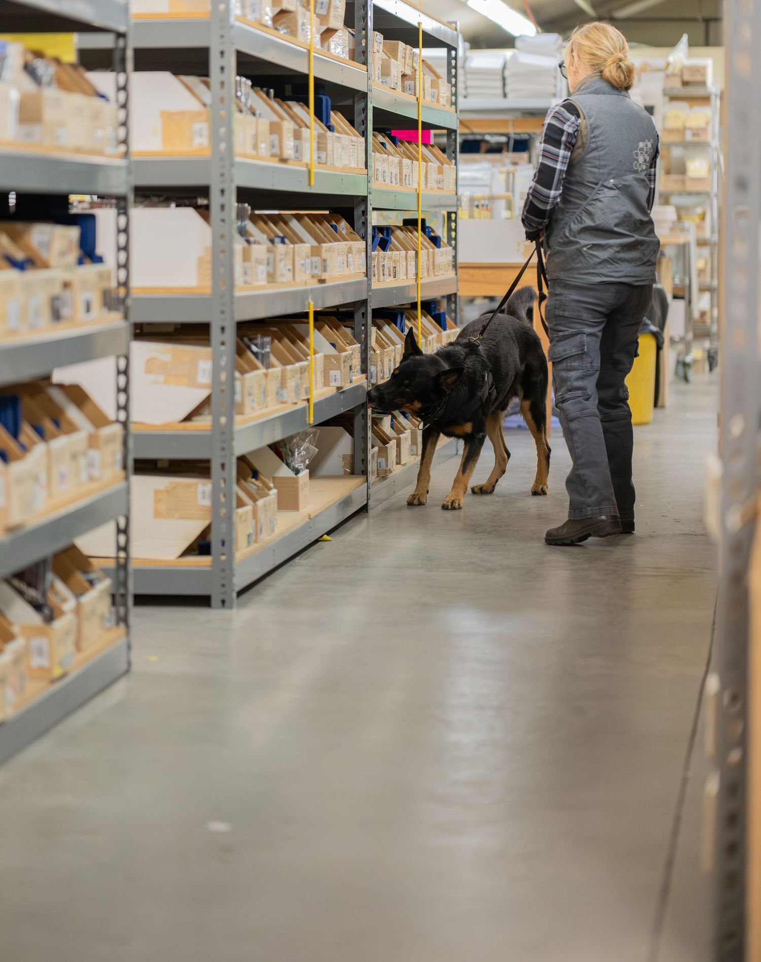 A handler with a detection dog searches warehouse shelves in an industrial storage facility.