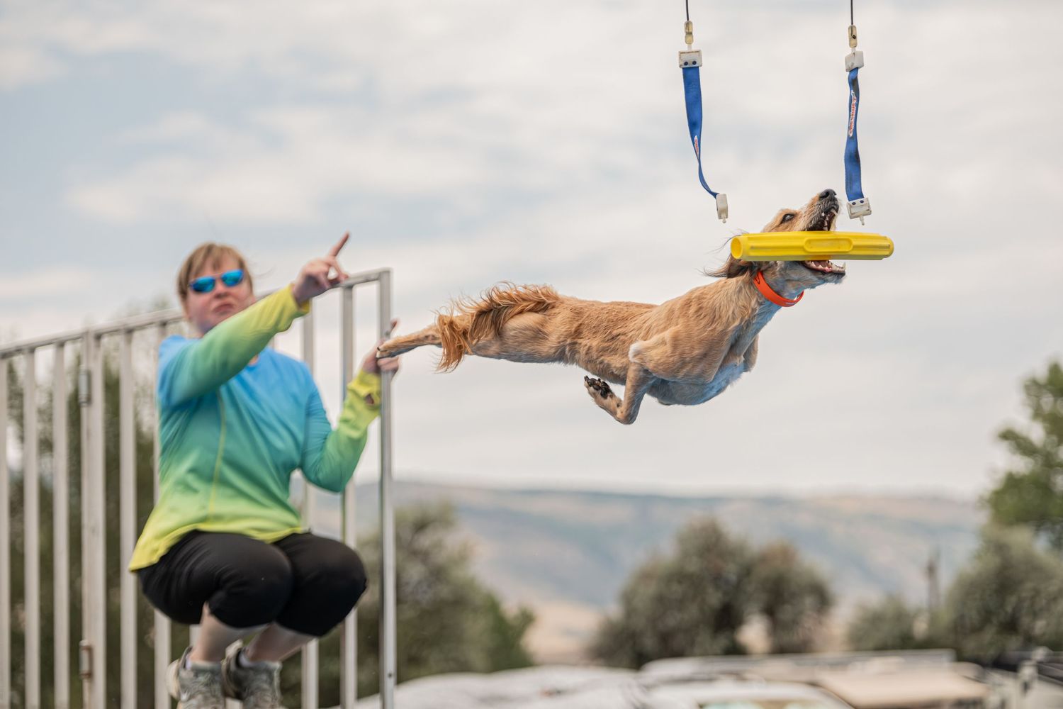 A dog leaps through the air catching a yellow frisbee while a woman in a teal jacket cheers at an outdoor dog sport event.